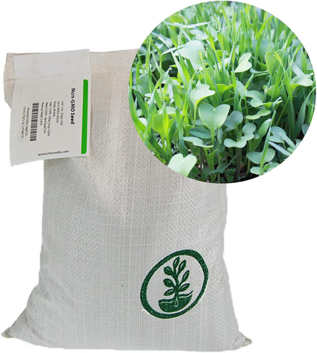 Mountain Valley Seed Co No-Till Garden Farm and Garden Cover Crop Mix Seeds | 5 Lbs - Blend of Gardening Cover Crop Seeds: Hairy Vetch, Daikon Radish, Forage Collards, Triticale, More