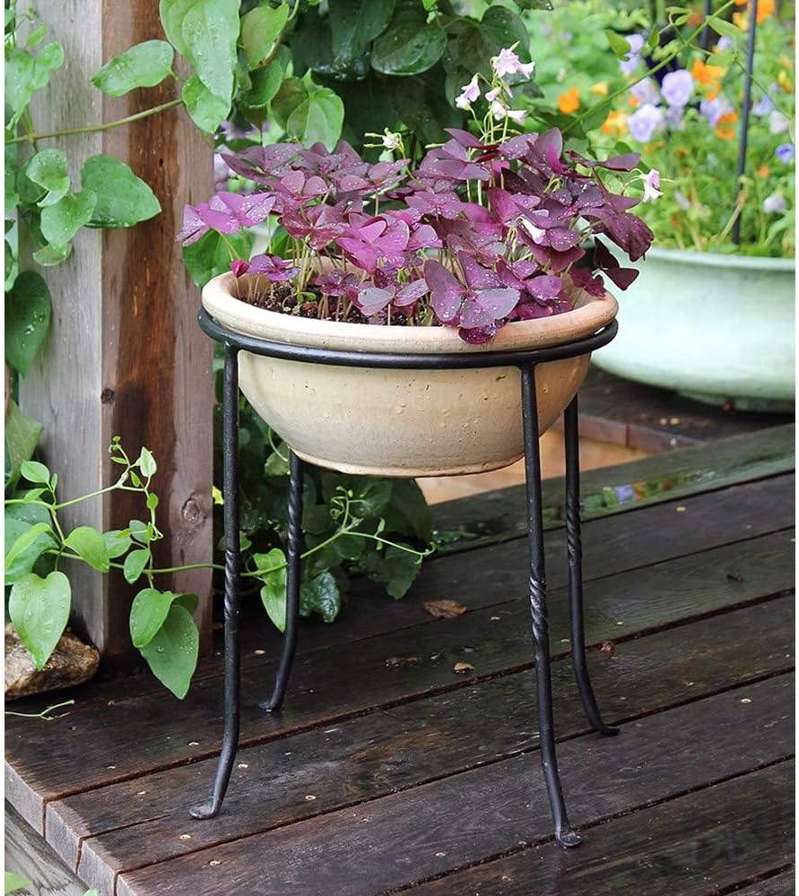 Achla Designs FB-14 Ring Wrought Iron Metal Plant birdbath Bowl Stand Flowerpot Holder, Black