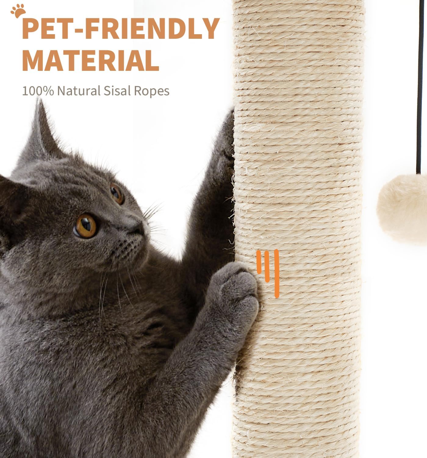 Made4Pets Kitten Toy Scratching Post for Indoor Cats with Ball Track