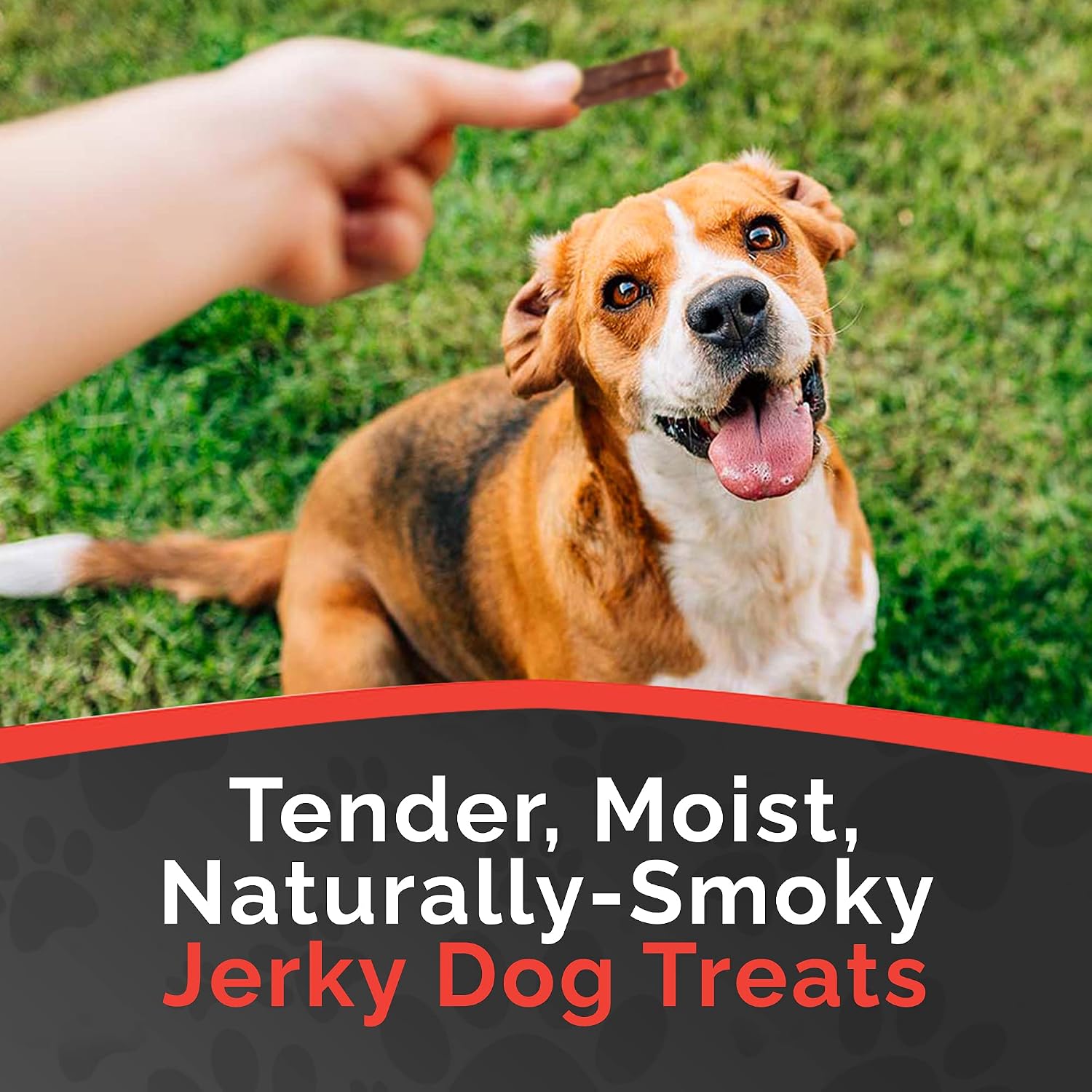 Miss Nelly's- All Natural Beef Jerky Dog Treats Made in USA Only, 16 oz Bag
