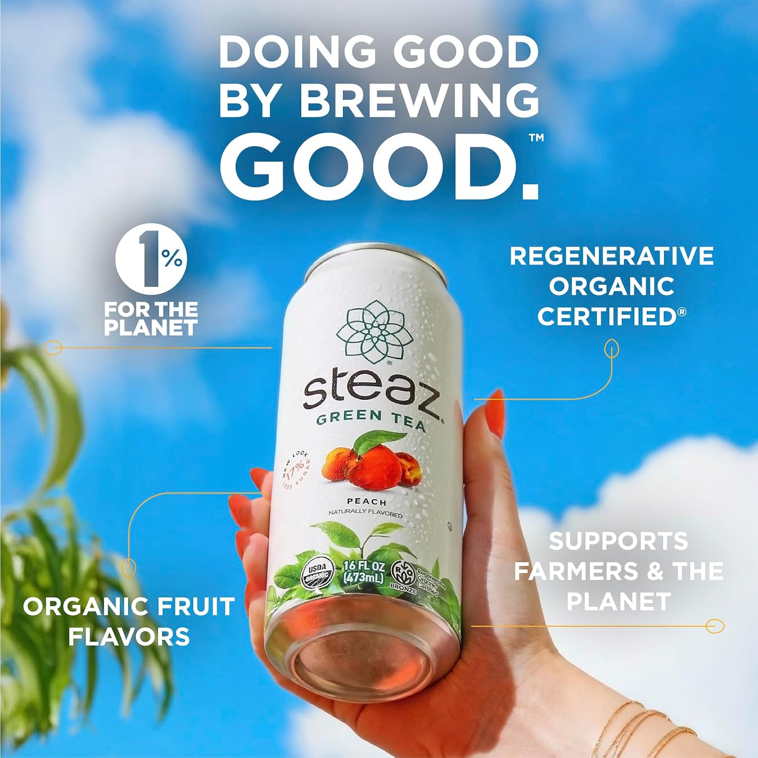 Steaz - Organic Green Tea - Peach (12 Pack) - 30mg Natural Caffeine, 70 Calories,Cane Sugar - Sweetened Iced Tea - Regenerative Organic Certified®️ - Vegan, Direct Trade - 12 Cans, 16 fl oz