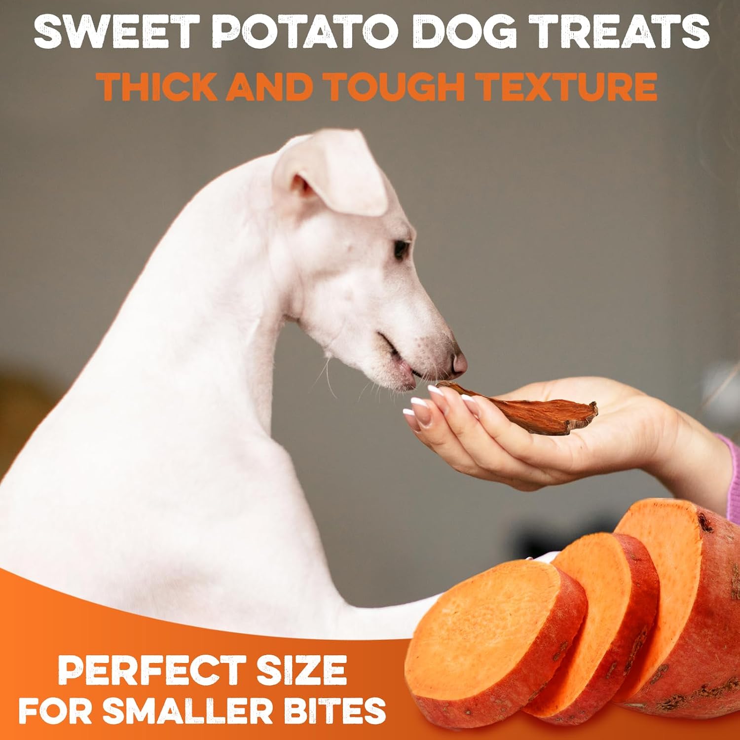 BRUTUS & BARNABY Dried Sweet Potato Dog Treats & Chews, Full Slices, 14 oz | Single ingredient, healthy, hypoallergenic; gentle on sensitive stomachs. Made in USA, thick cut for large breeds