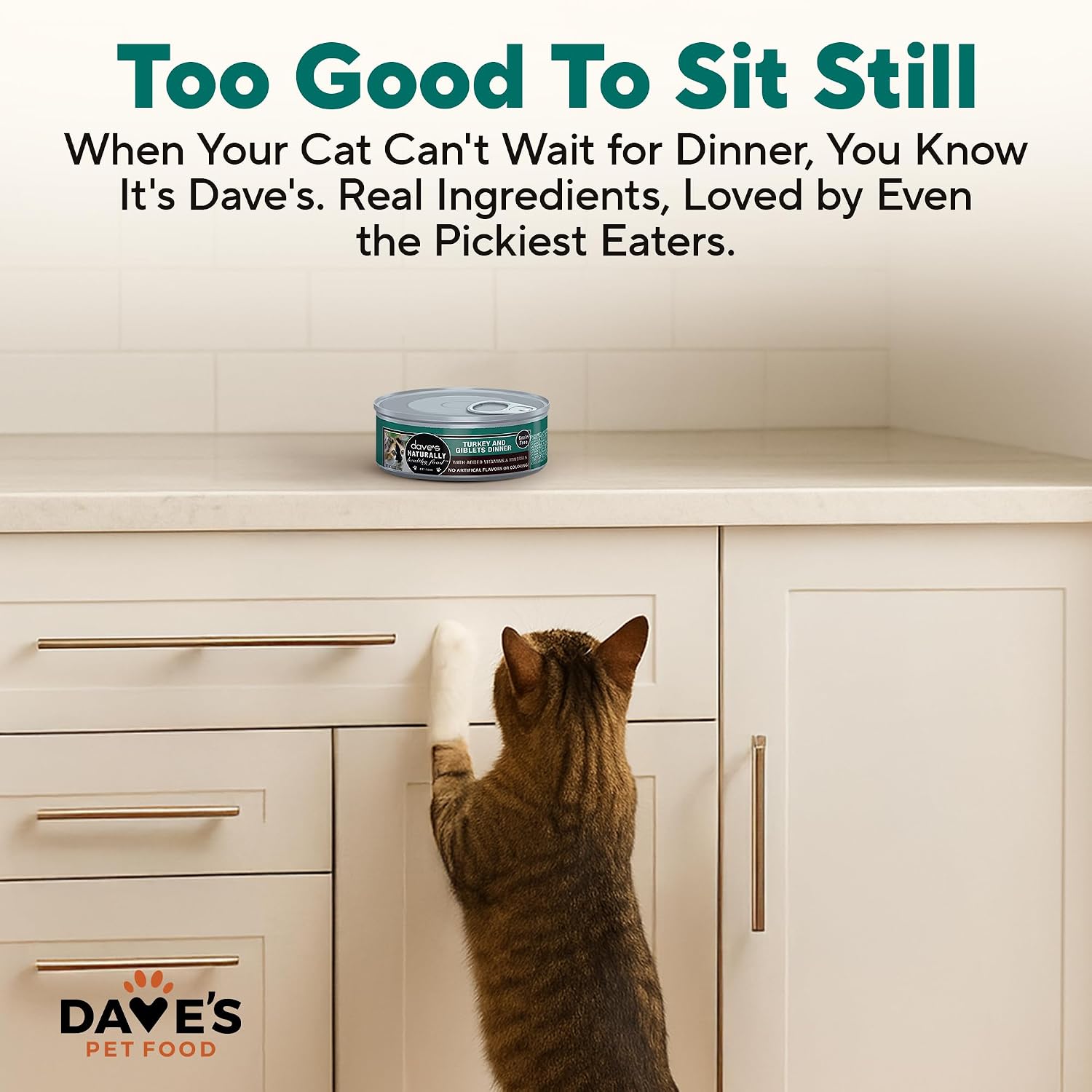 Dave's Pet Food Grain Free Wet Canned Cat Food Pate, Chicken, 12.5 oz, 12pk | Made in USA, Naturally Healthy, Easy to Digest Wheat & Gluten-Free, Use as Topper or Meal, Carrageenan-Free