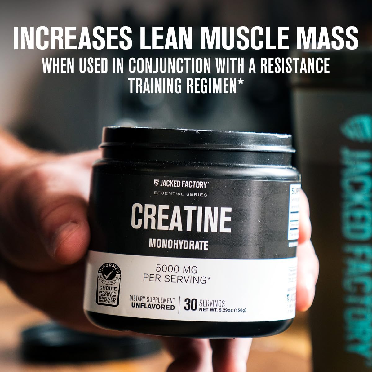 Jacked Factory Creatine Monohydrate Powder 425g - 5g Daily Micronized Creatine Monohydrate for Men and Women, Vegan-Friendly