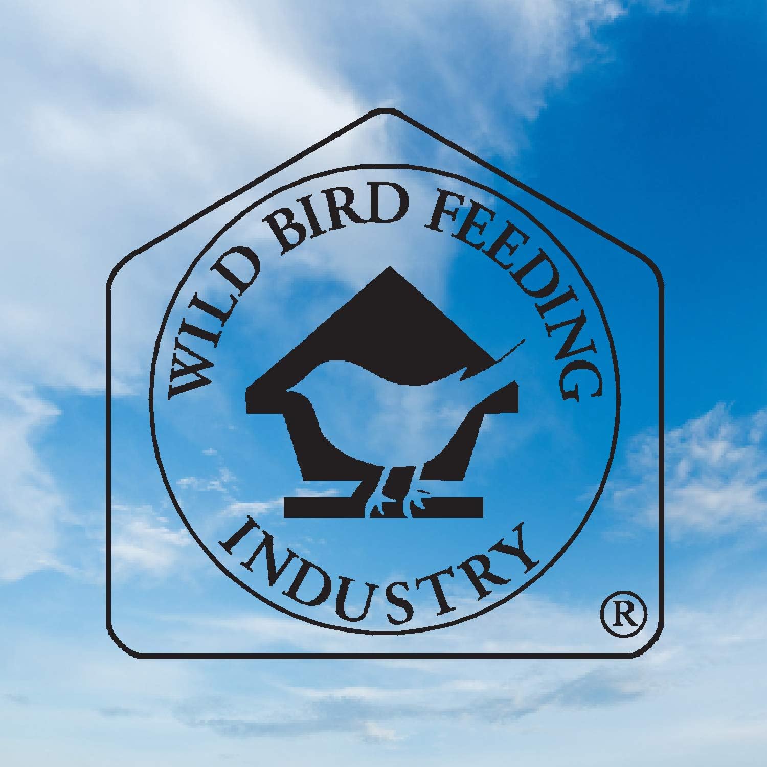 Blue Seal Premium Black Oil Sunflower Wild Bird Seed | High Protein | Attracts Cardinals, Doves