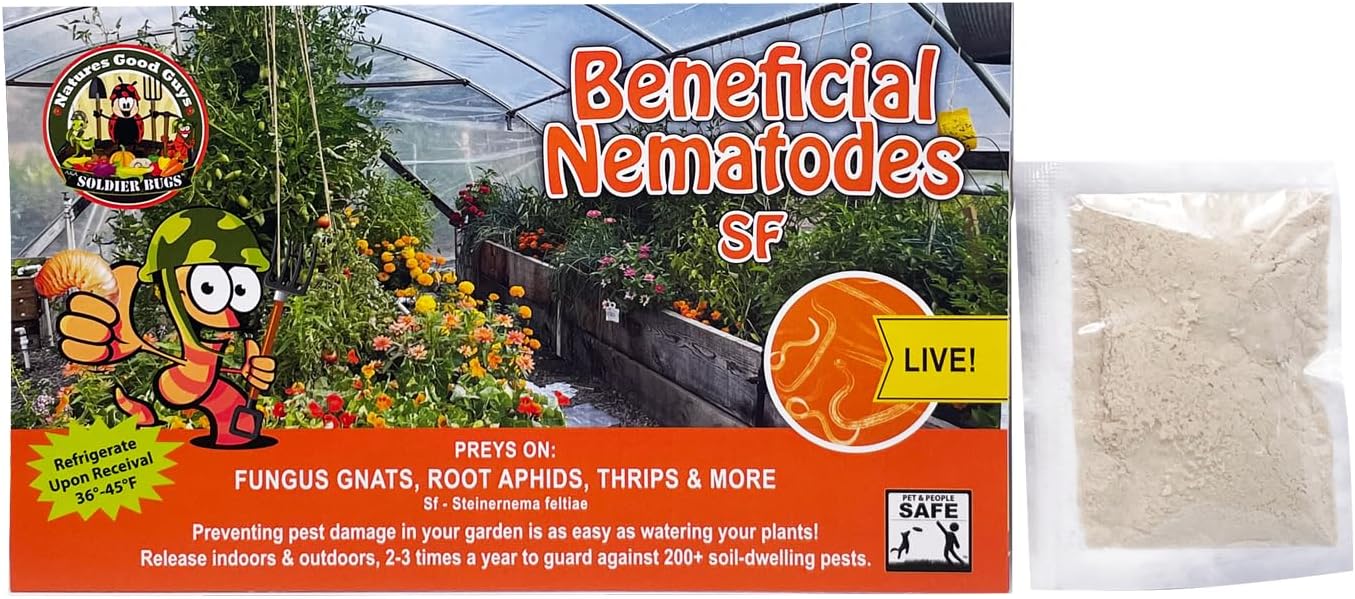 NaturesGoodGuys 5 Million Live Beneficial Nematodes Sf - Fungus Gnat/Rootknot Gall Exterminator