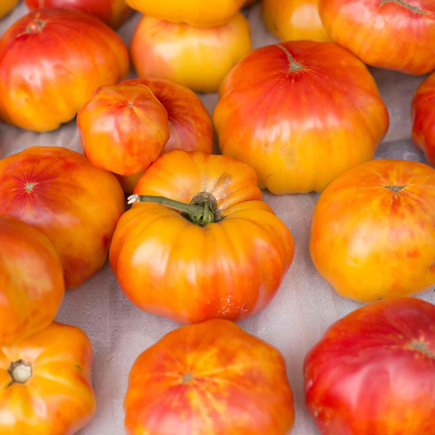 Eden Brothers Tomato Seeds - Persimmon Non-GMO Seeds for Planting, 1 oz | Low-Maintenance Vegetable Seeds, Plant During Warm Season, Zones 10, 3, 4, 5, 6, 7, 8, 9