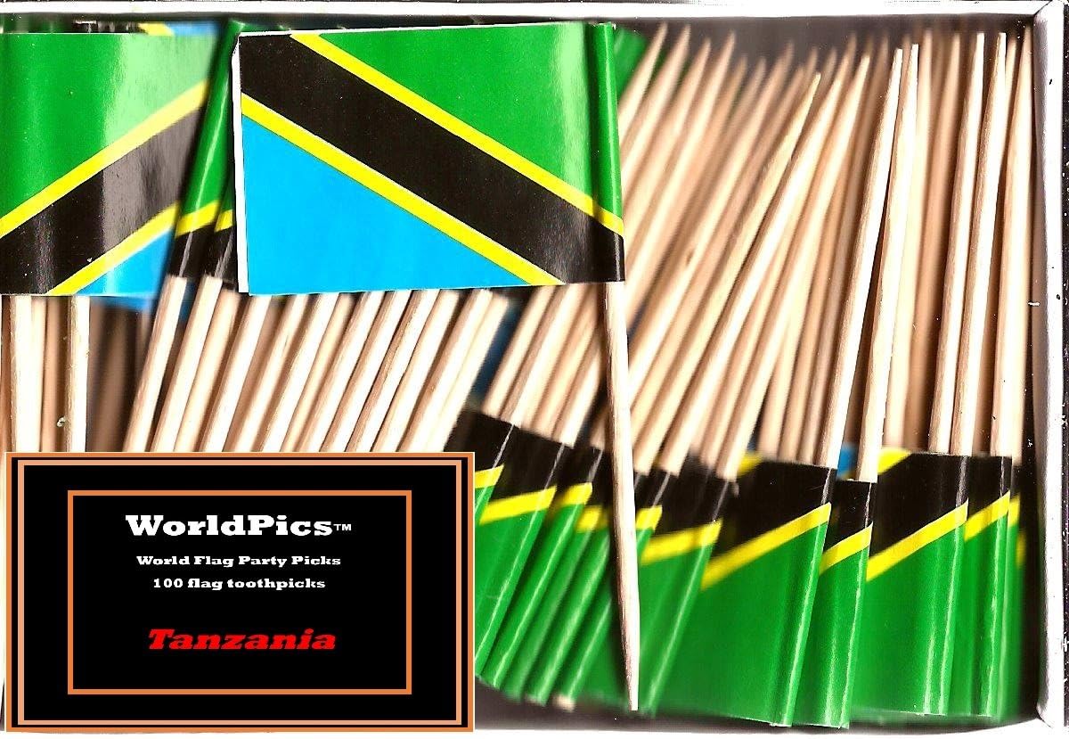 One Box of 100 Nicaragua Toothpick Flags, 100 Small Mini International Flag Cupcake Toothpicks or Cocktail Picks