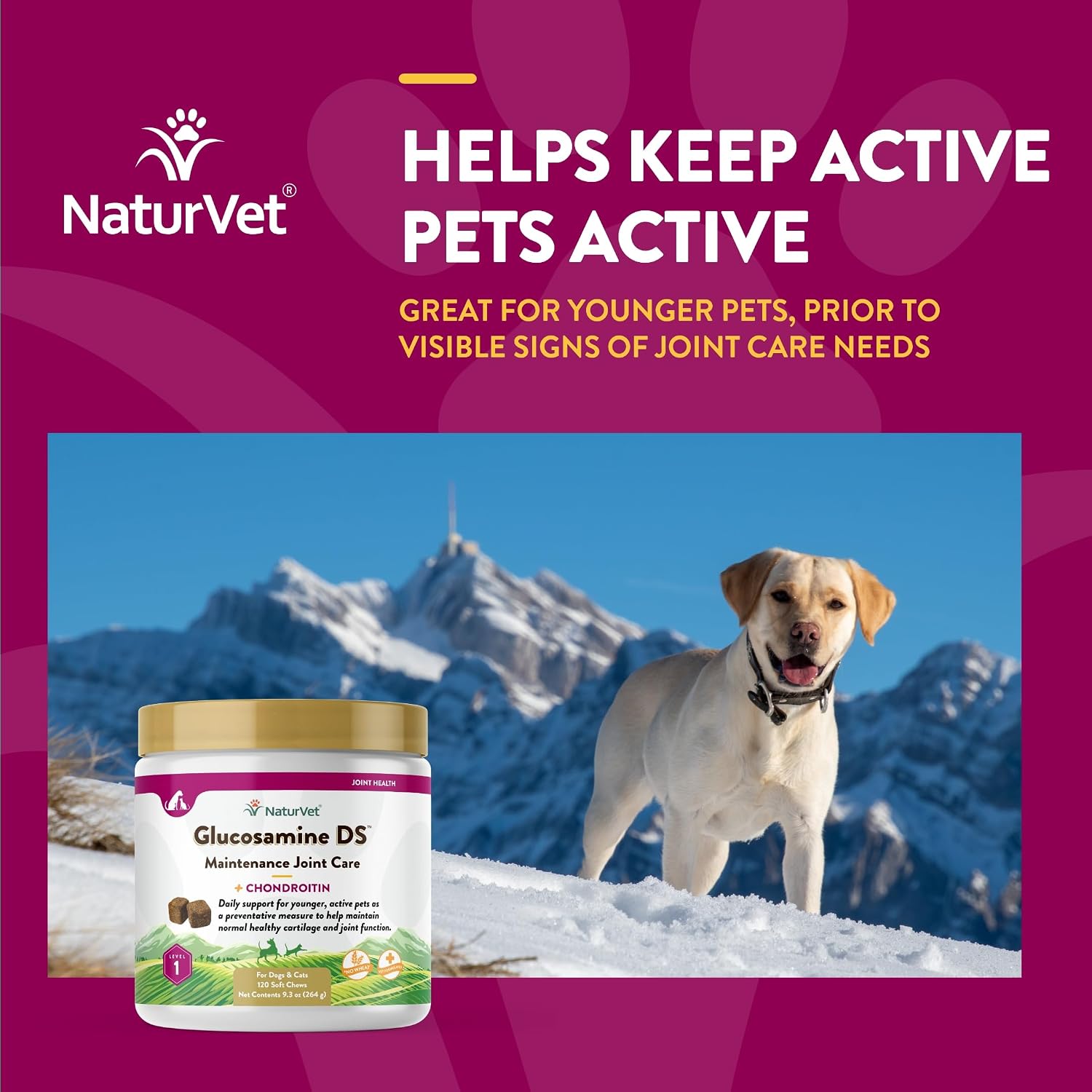 NaturVet – Glucosamine DS Plus - Level 2 Moderate Care – Supports Healthy Hip & Joint Function – Enhanced with Glucosamine, MSM & Chondroitin – for Dogs & Cats–70 Soft Chews