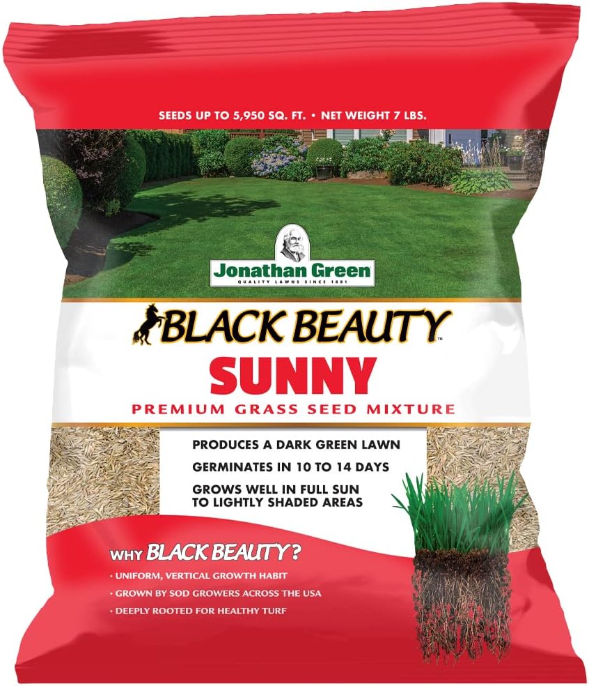 Jonathan Green (10895) Black Beauty Sunny Grass Seed - Cool Season Lawn Seed (1 lb)