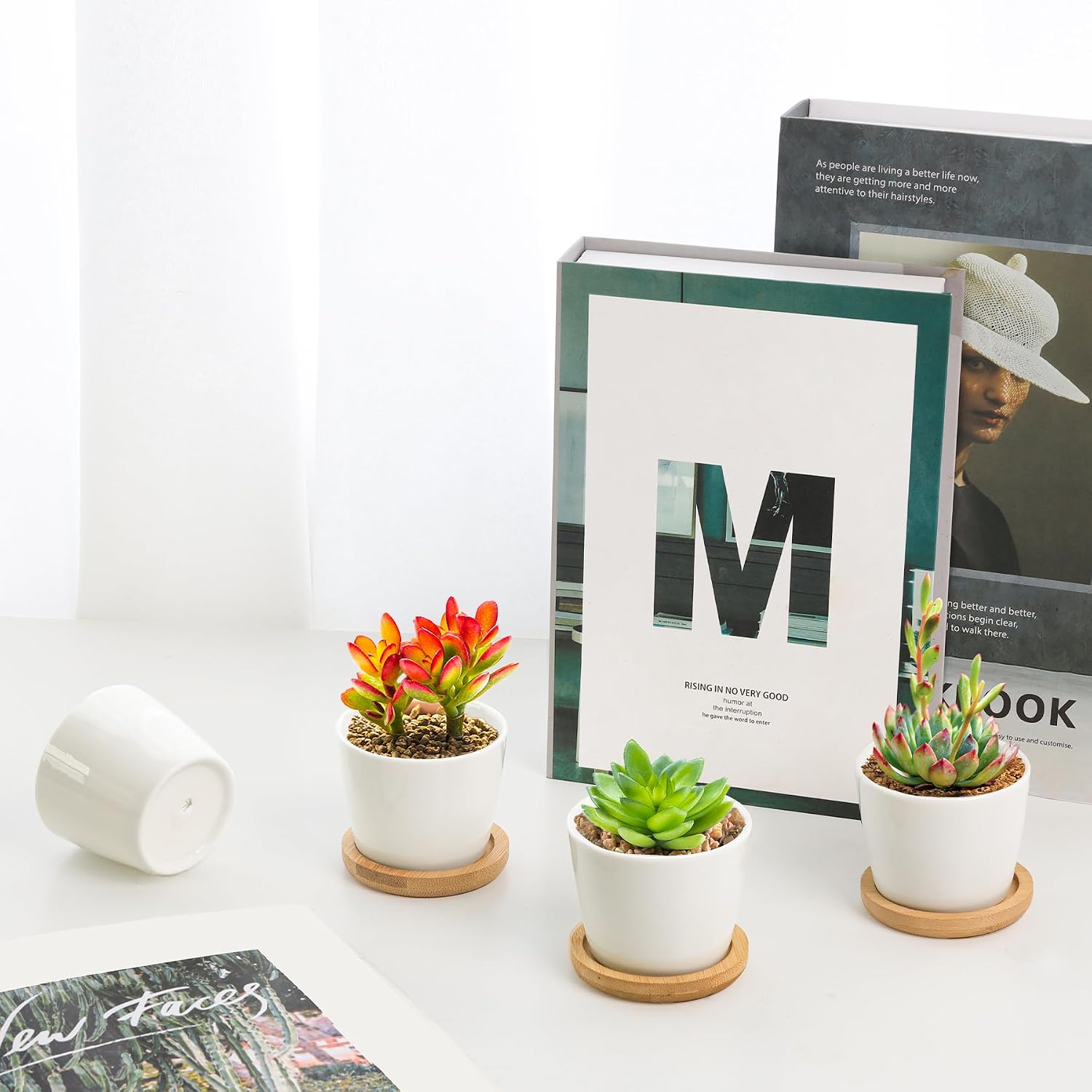 T4U Small White Succulent Planter Pots with Bamboo Tray Hexagon Set of 2, Geometric Ceramic Cactus Plant Holder, Succulent Plant Gifts for Gardener Women Coworker, Home Office Table Desk Decoration | Live cactus bonsai starter, Indoor windowsill decor, O…