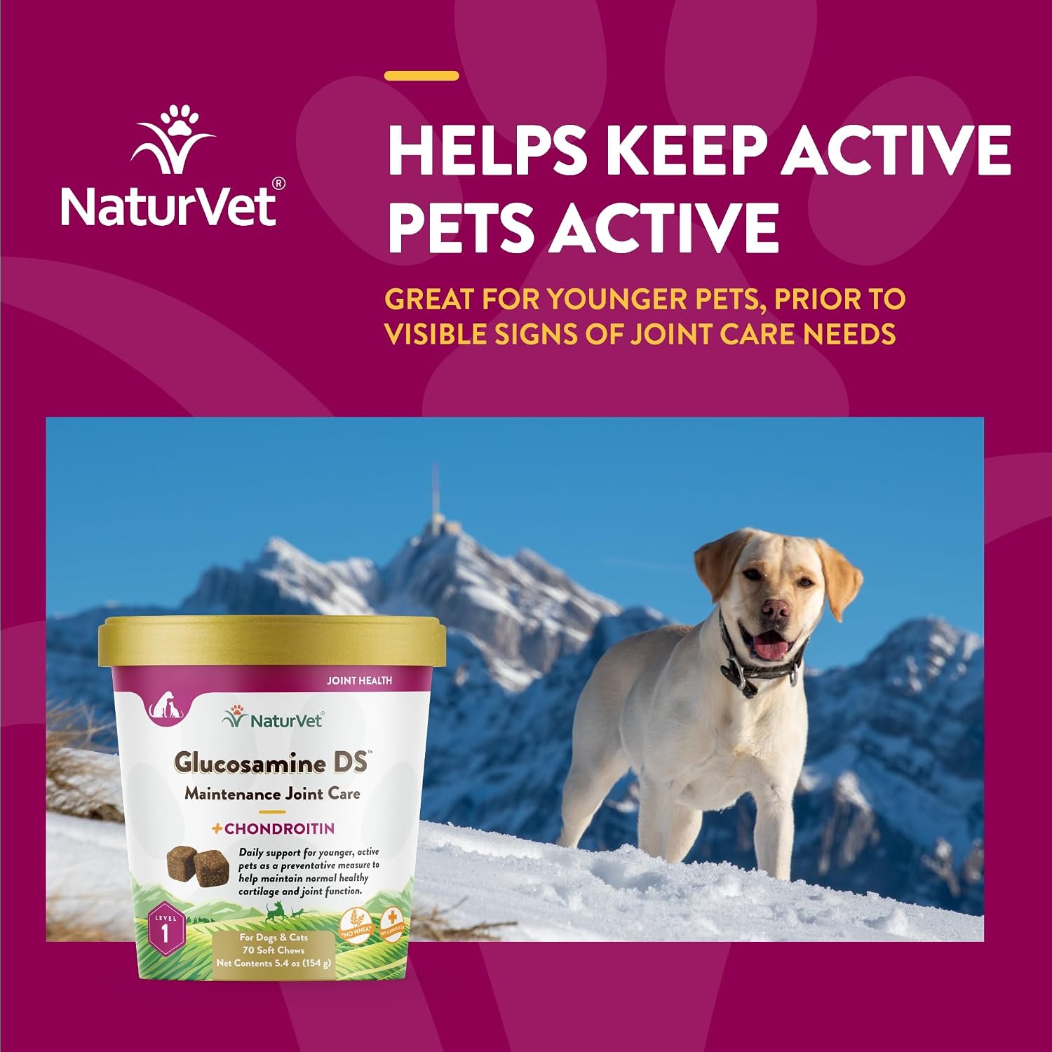 NaturVet – Glucosamine DS Plus - Level 2 Moderate Care – Supports Healthy Hip & Joint Function – Enhanced with Glucosamine, MSM & Chondroitin – for Dogs & Cats–70 Soft Chews