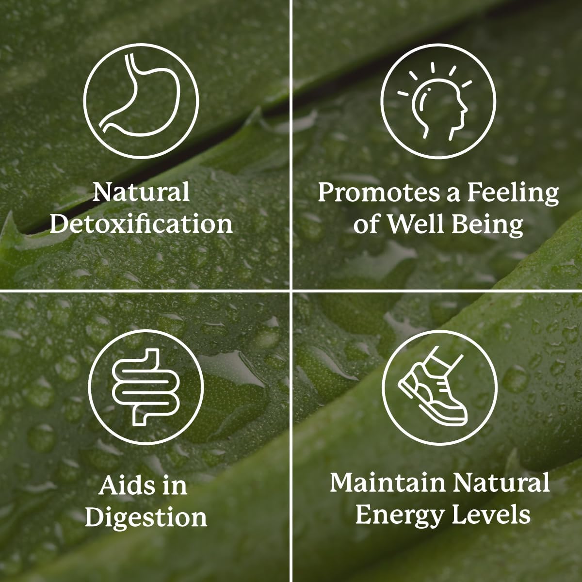 Nature's Sunshine Lower Bowel Stimulator - Helps Relieve Constipation - Cleanse & Detox Your Colon with Natural Herbal Ingredients - 25 Servings - 100 Vegitabs