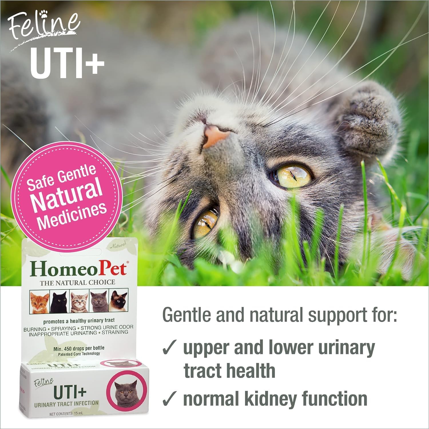 HomeoPet Feline UTI+ Urinary Tract Supplement for Cats, 15 Milliliters | Natural urinary tract support for cats, safe and gentle homeopathic formula, liquid drops suitable for daily use