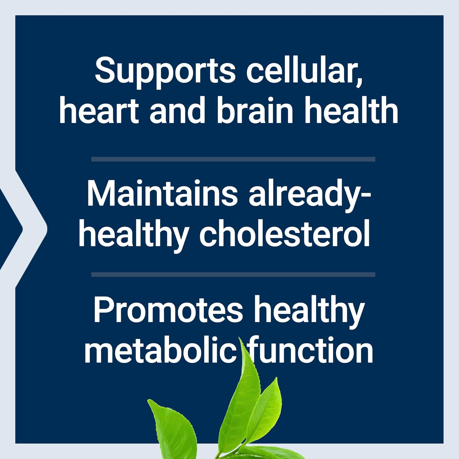 Life Extension Decaffeinated Mega Green Tea Extract – Polyphenol-Rich, Cell Health, Heart Health, Brain Health, Antioxidant Protection – Non-GMO, Gluten-Free, Vegetarian – 100 Capsules | Camellia Sinensis Extract with Concentrated EGCG Polyphenols, Glute…