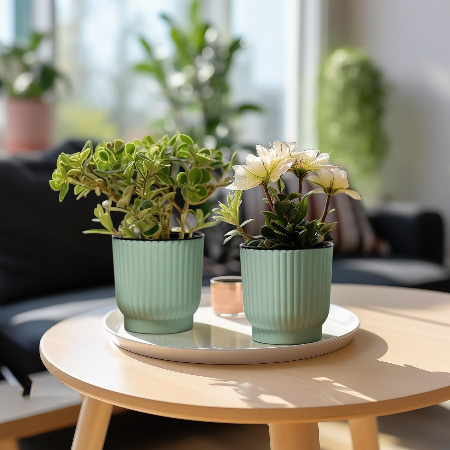 T4U Self Watering Pots for Indoor Plants, 4 Inch 6 Pack Planter White