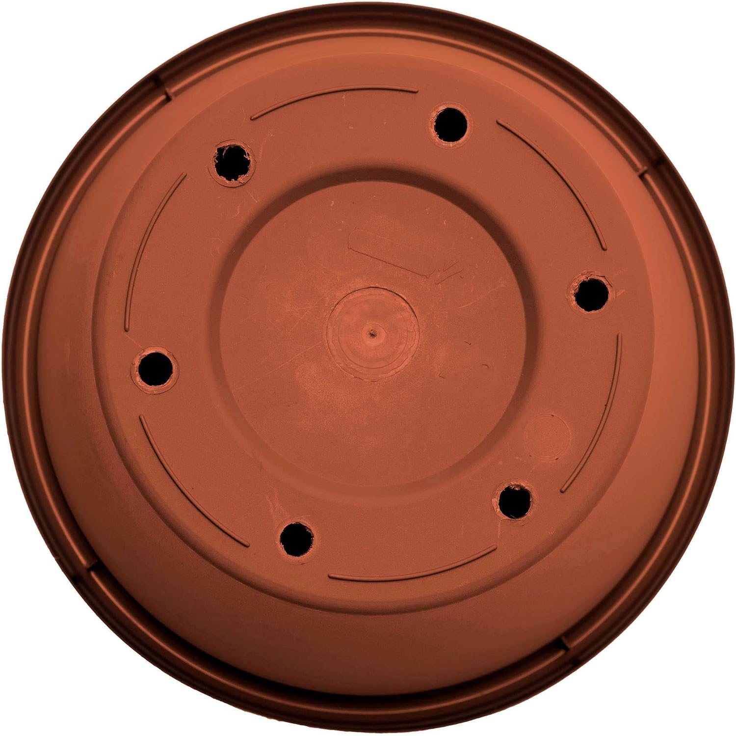 Bloem Terra Pot Planter: 16" - Terra Cotta - Durable Resin Pot, for Indoor and Outdoor Use, 8 Gallon Capacity, Saucer Sold Separately
