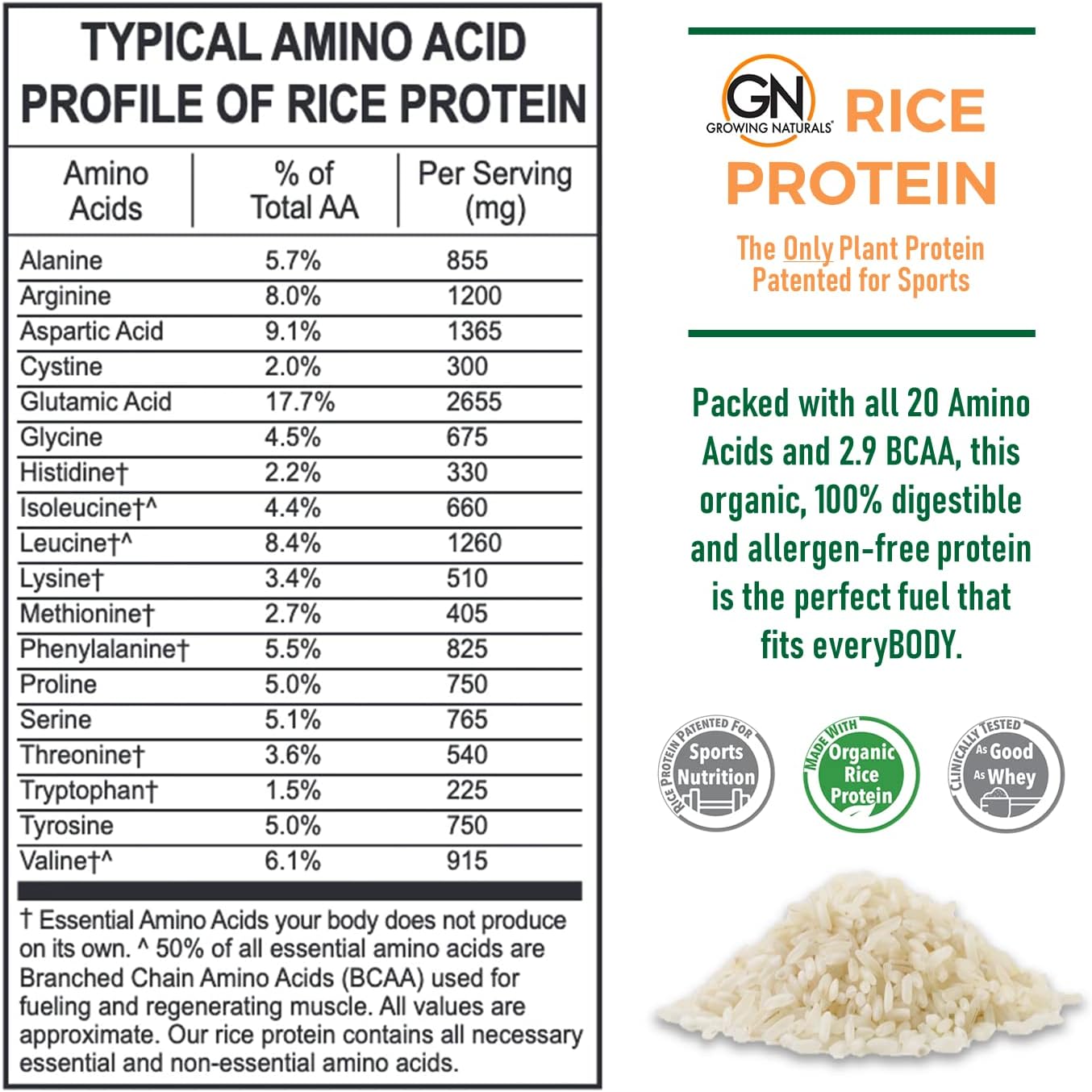 Growing Naturals Organic Rice Protein Powder - 15g Plant Protein, 2.8G BCAA - Low-Carb, Low-Sugar, Non-GMO - Vanilla Blast, 2 Pound (Pack of 1)