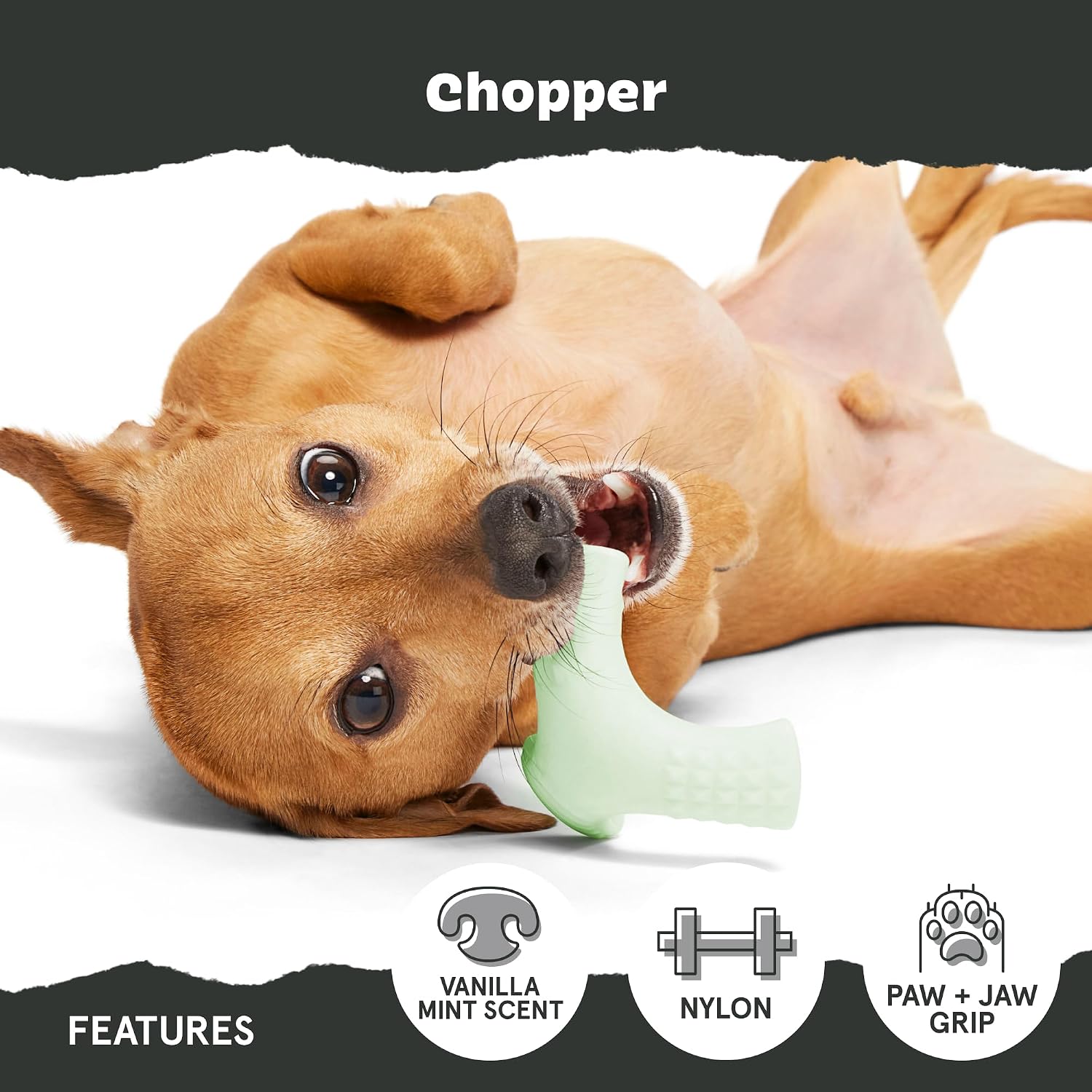 BarkBox Turkey Super Chewer - Toy for Large Dogs
