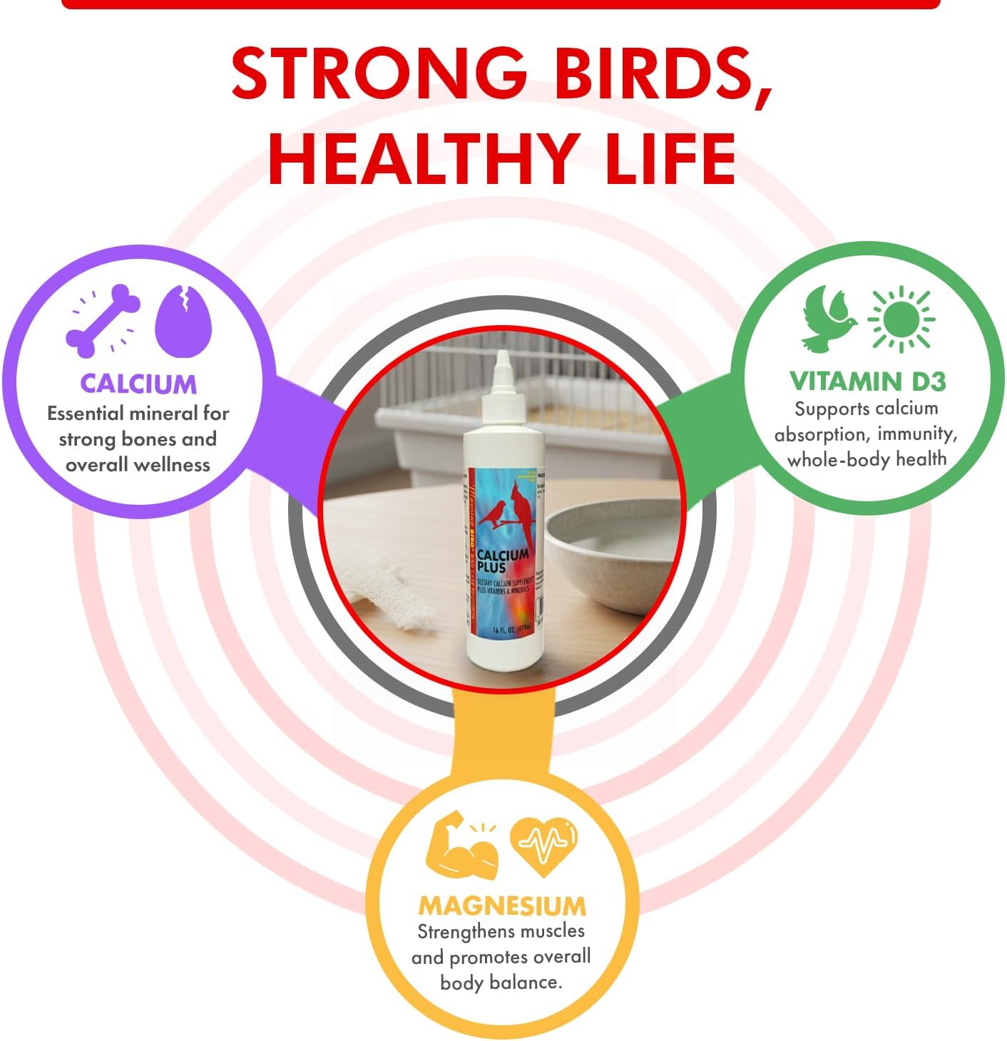 Calcium Plus Liquid for Birds – Calcium Supplement with Vitamins and Minerals for Strong Eggshells, Healthy Bones - Support Growth, Breeding, and Wellness for All Birds 4 Fl Oz | Calcium Supplement - Supports Healthy Growth, Bone Strength, Breeding, Brai…