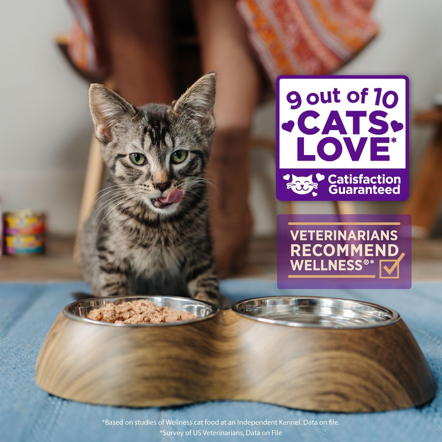 Wellness CORE Signature Selects Shredded Adult Canned Wet Cat Food, Natural, Protein Rich, Grain Free, Chicken Entrée Recipe, 2.8 oz, Pack of 12 Cans