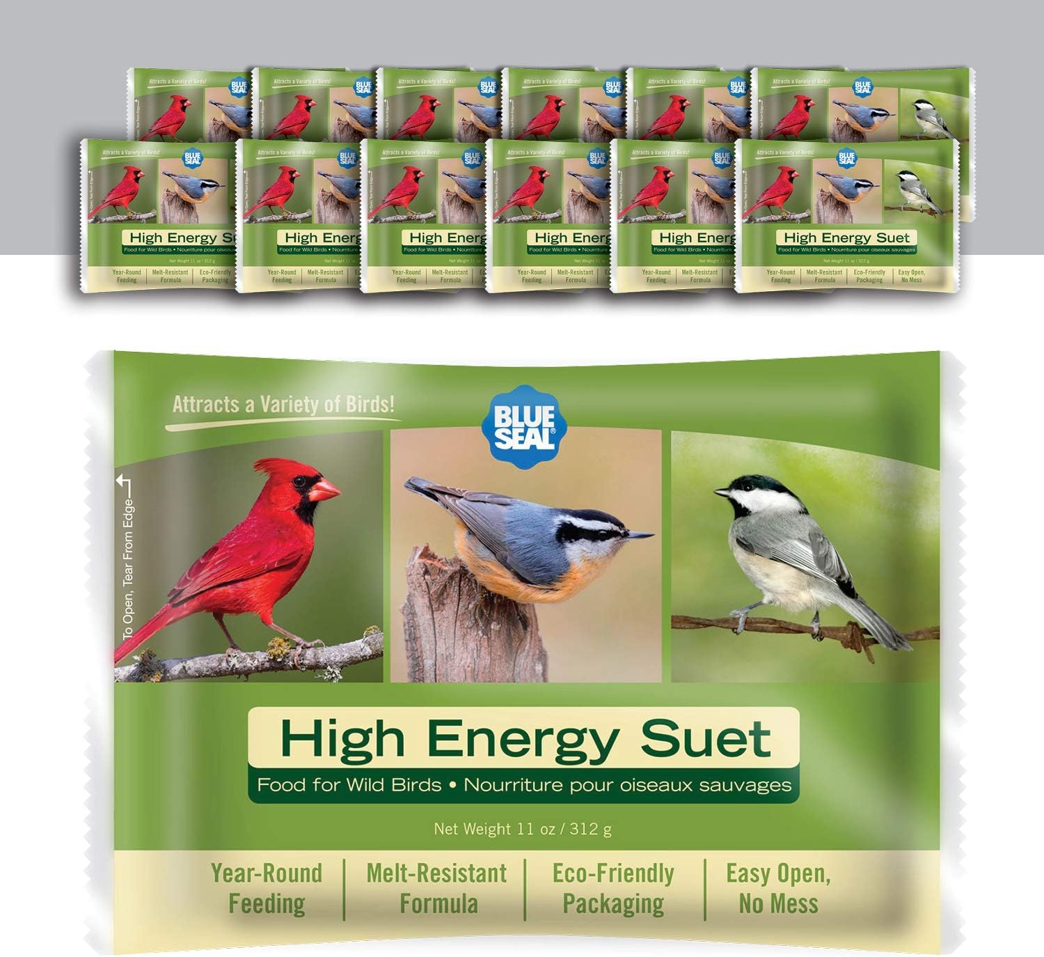 Blue Seal High Energy Suet Cakes for Wild Birds - No Mess Suet Feed, Food for Woodpeckers, Cardinals, Siskins, Sparrows & More - 11oz Suet Feeder