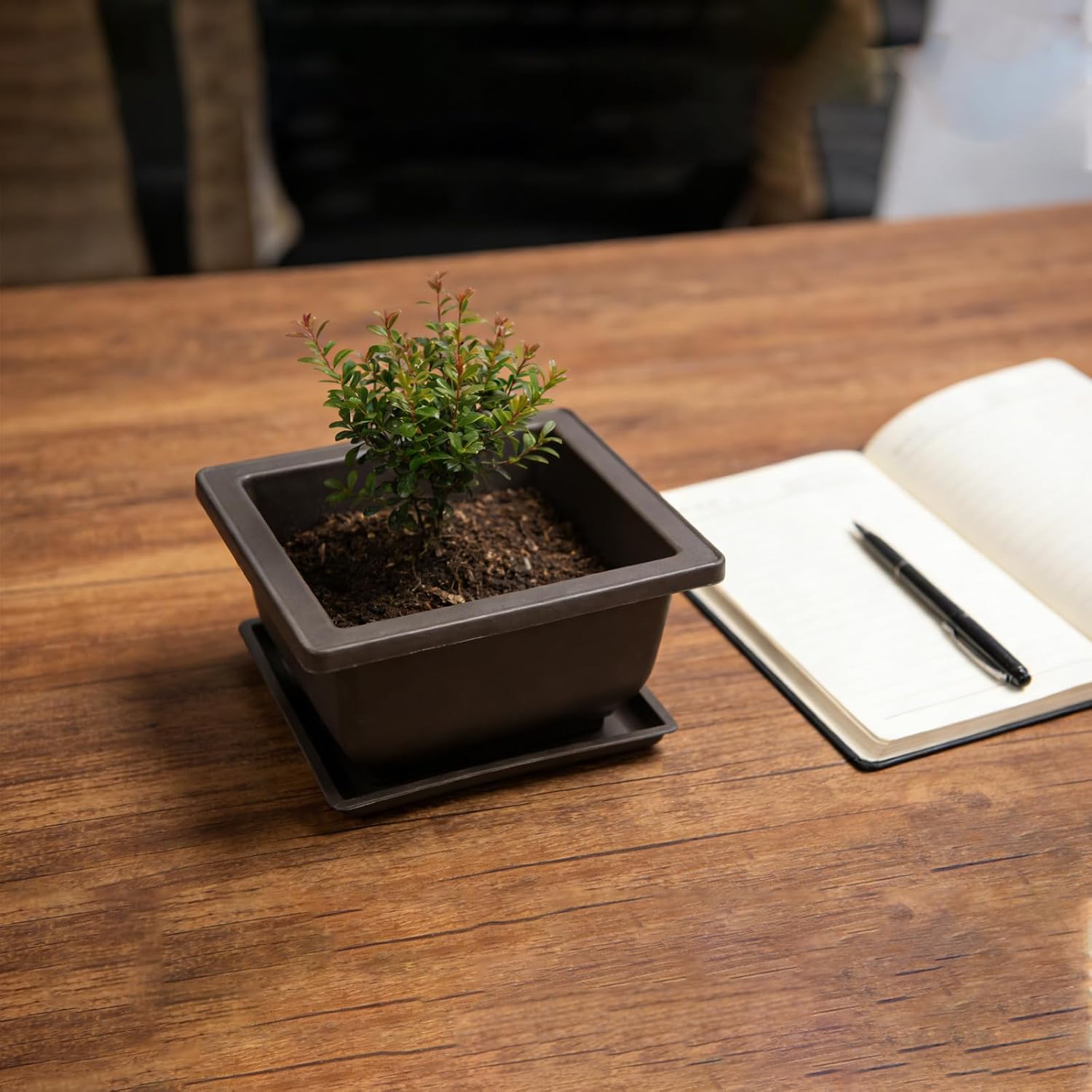 15 PCS 6.5 Inch Bonsai Training Pots with Trays, Rectangular Plastic Growing Pots, Flower Succulent Pots Container for Garden, Yard, Office, Porch