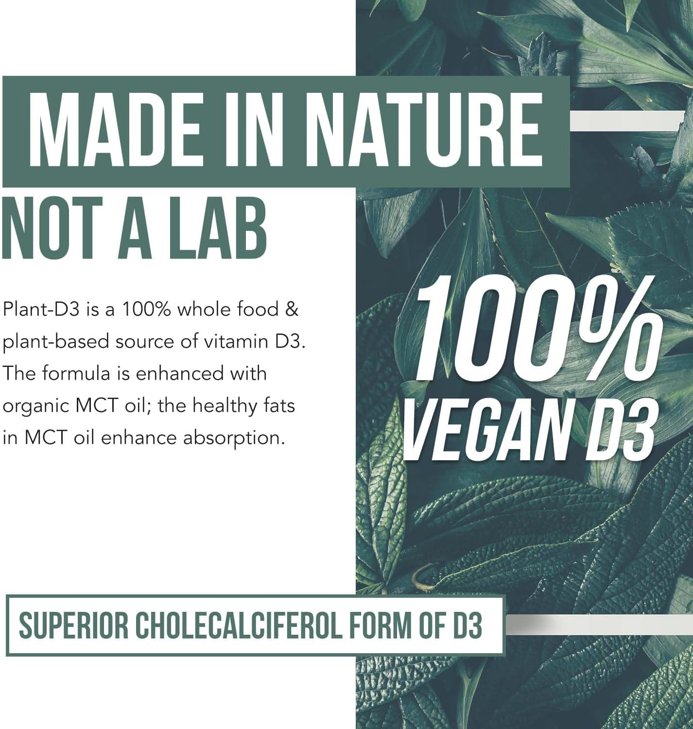 Plant-D3 Organic Vitamin D3 5000 IU - Vegan