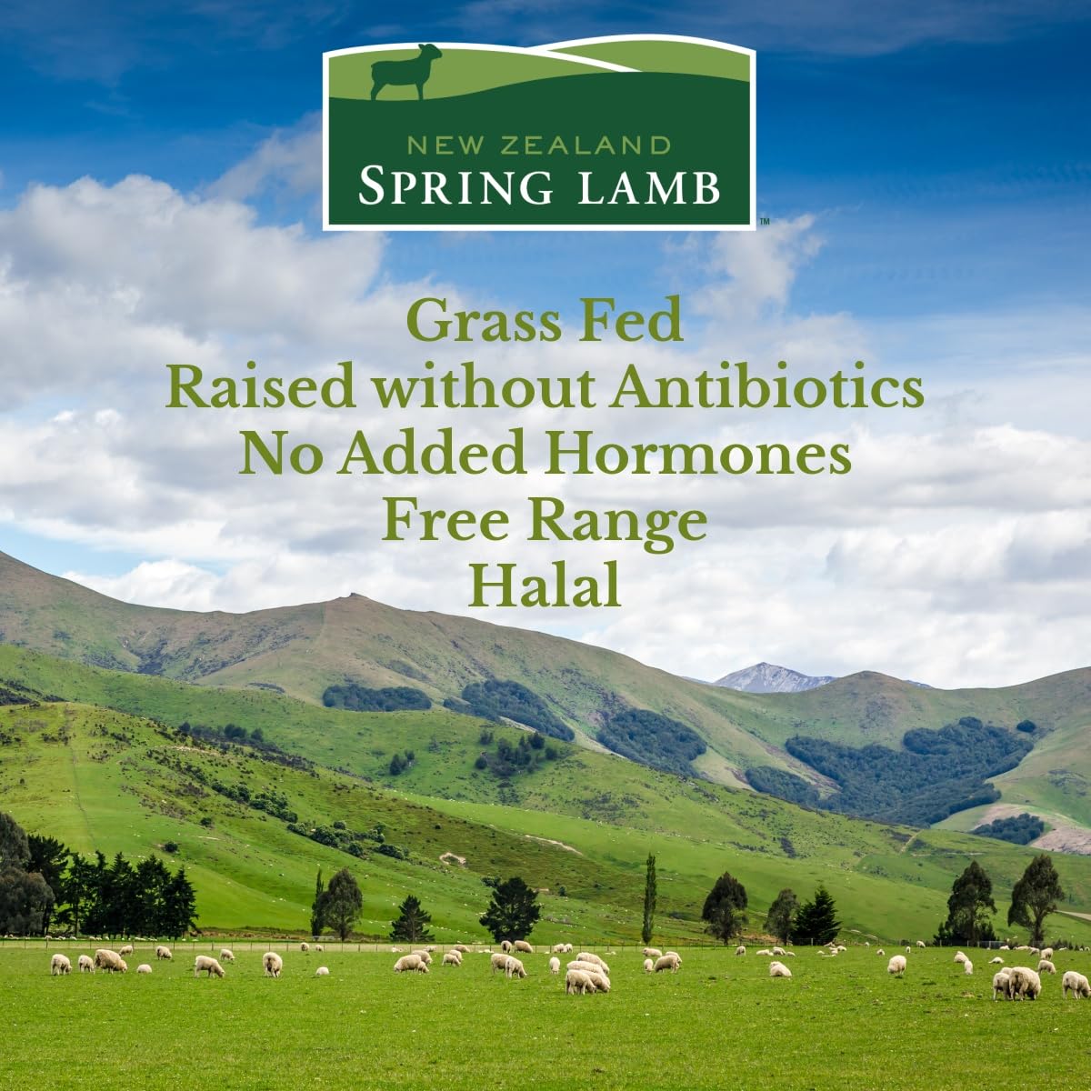 New Zealand Spring Lamb, Fresh New Zealand Lamb Loin Chops, 1 lb