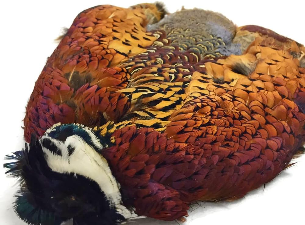 Complete Natural Ringneck Pheasant Skin Pelt Without Wing and Tails (Bulk) Fly Tying Dog Training | Amazon | Moonlight Feather