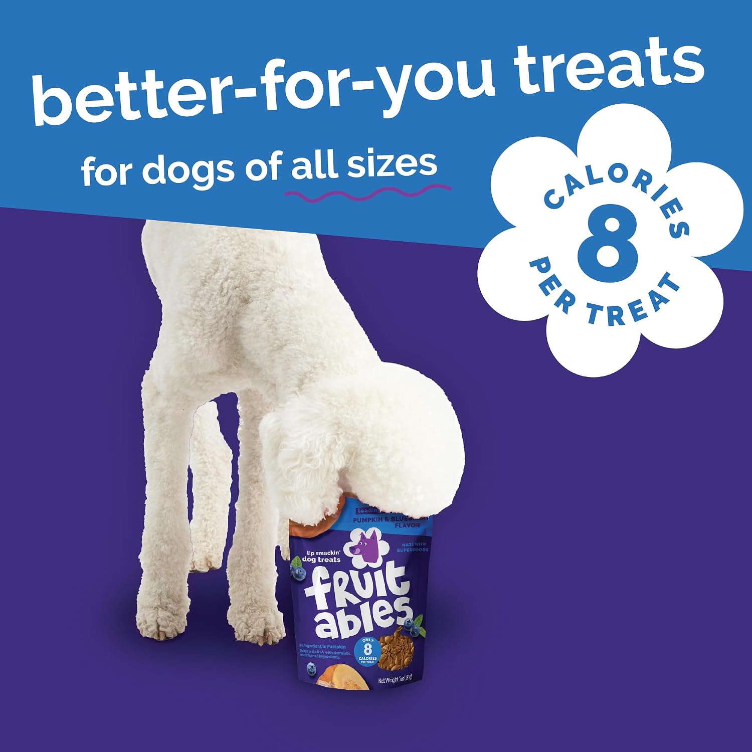 Fruitables Baked Dog Treats, Low Calorie Treats, Pumpkin & Banana, 7oz | Healthy Dog Treats, Training Treats, Crunchy Dog Biscuits, Limited Ingredient Recipe, Healthy Puppy Snacks, Made in USA