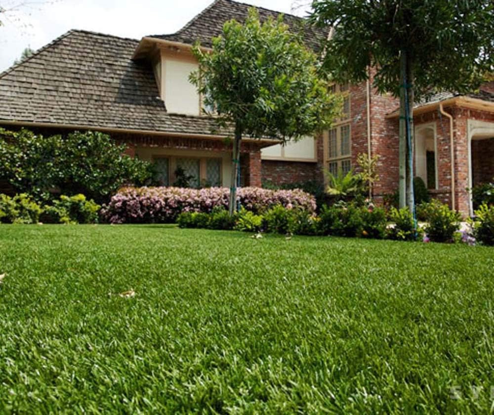 SPG-70 1.5" Tall Centipede Southwest Artificial Grass Turf with Ultra-Flo $2.77/sq.ft. (Pick Size Below) (13 ft. x 15 ft. = 195 sq. ft.)