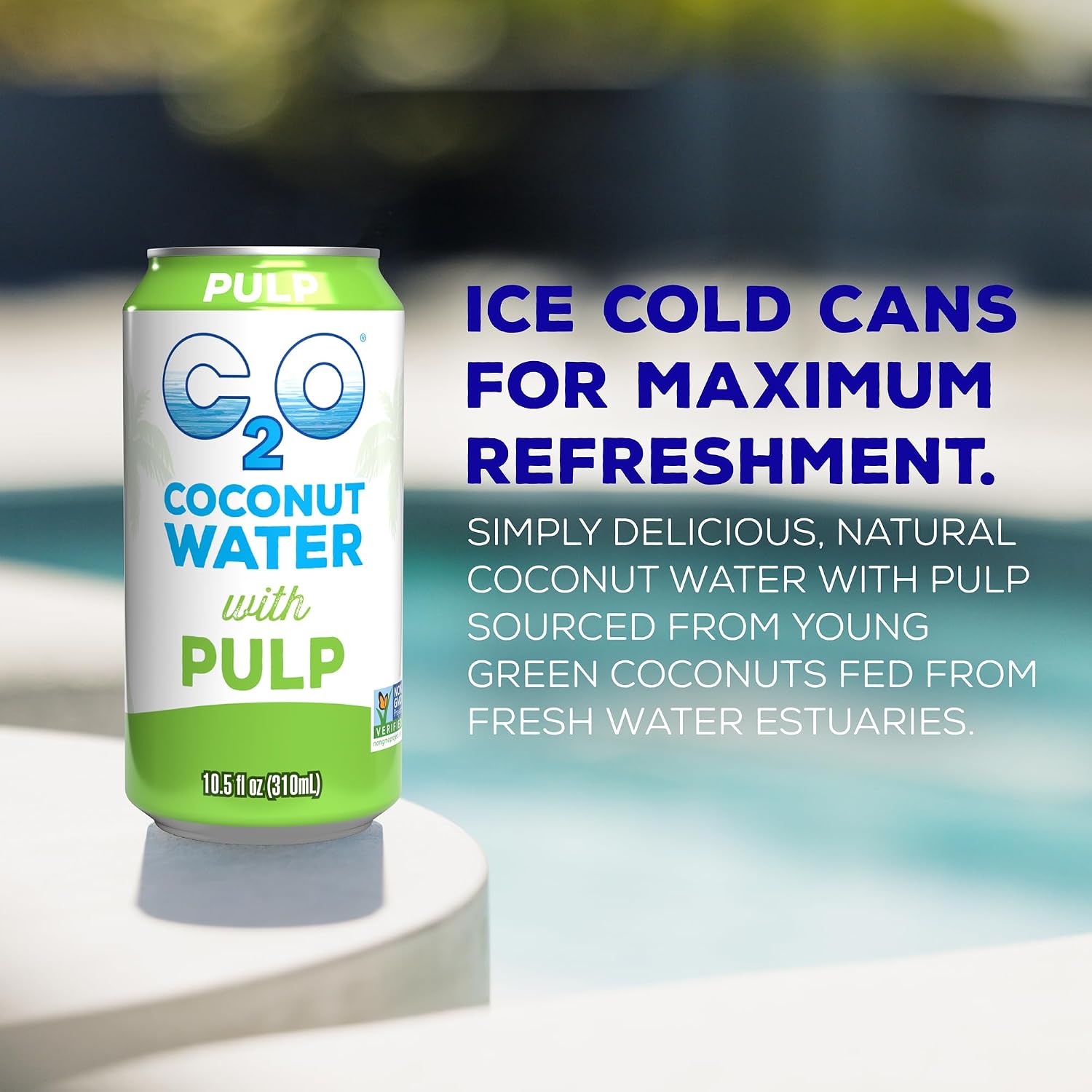 C2O - Coconut Water with Pineapple (12 Pack) - Made with Fresh Coconut Water - Plant Based - Non GMO - Canned Water - Natural Hydration, Essential Electrolytes, & Potassium - 12 Cans, 17.5 FL OZ
