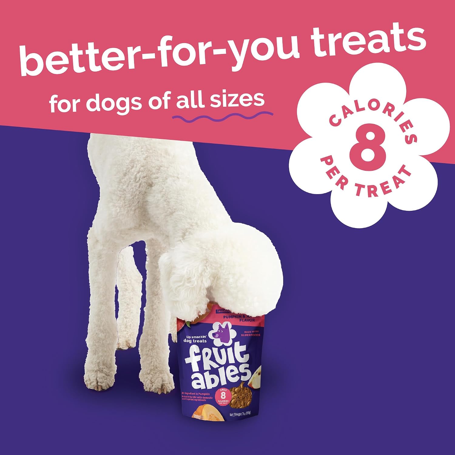 Fruitables Baked Dog Treats, Low Calorie Treats, Pumpkin & Banana, 7oz | Healthy Dog Treats, Training Treats, Crunchy Dog Biscuits, Limited Ingredient Recipe, Healthy Puppy Snacks, Made in USA