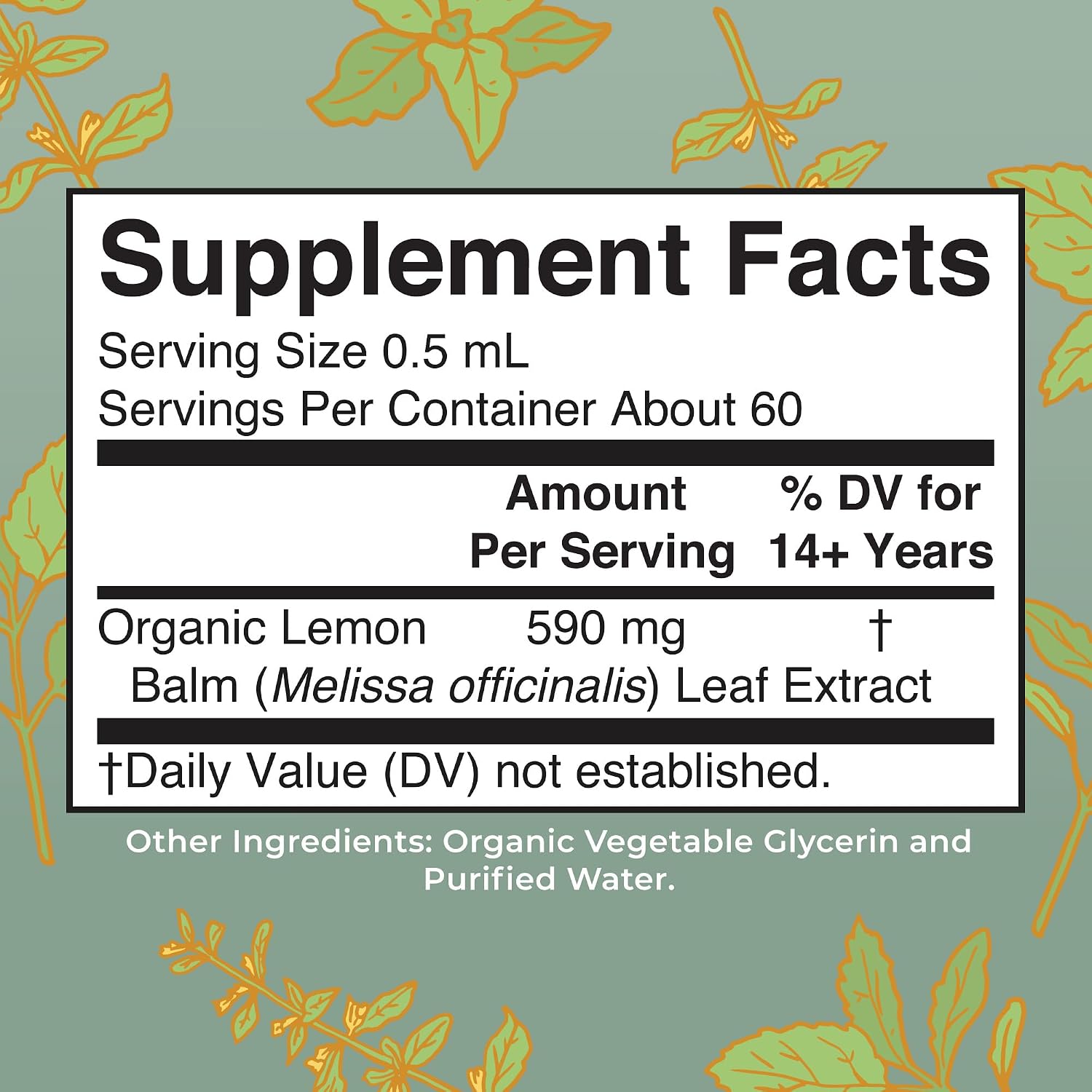 MARYRUTH'S Organic Lemon Balm Leaf Liquid Extract, Mood Support, 1 Fl Oz