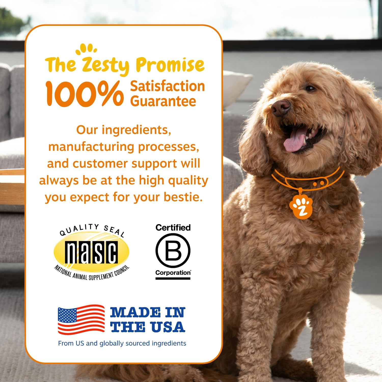 Zesty Paws Probiotics for Dogs - Digestive Enzymes for Gut Flora, Digestive Health, Diarrhea & Bowel Support - Clinically Studied DE111 - Dog Supplement Soft Chew for Pet Immune System - Pumpkin, 90ct