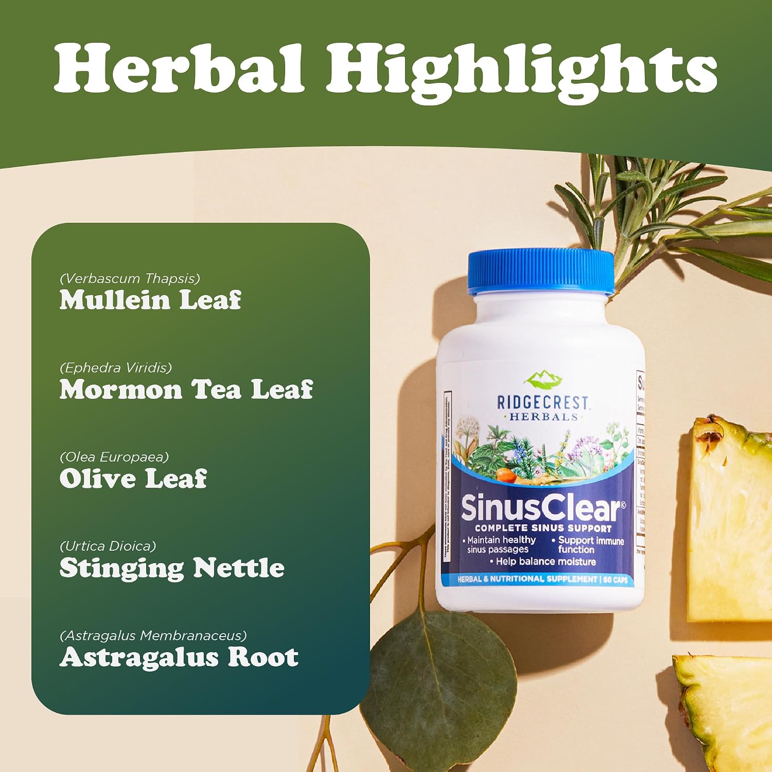 RidgeCrest Herbals SinusClear Mullein Sinus, Nasal and Immune Support 60 Ct | 30 Servings, Mullein Leaf, Bromelain, Vitamin C, Zinc