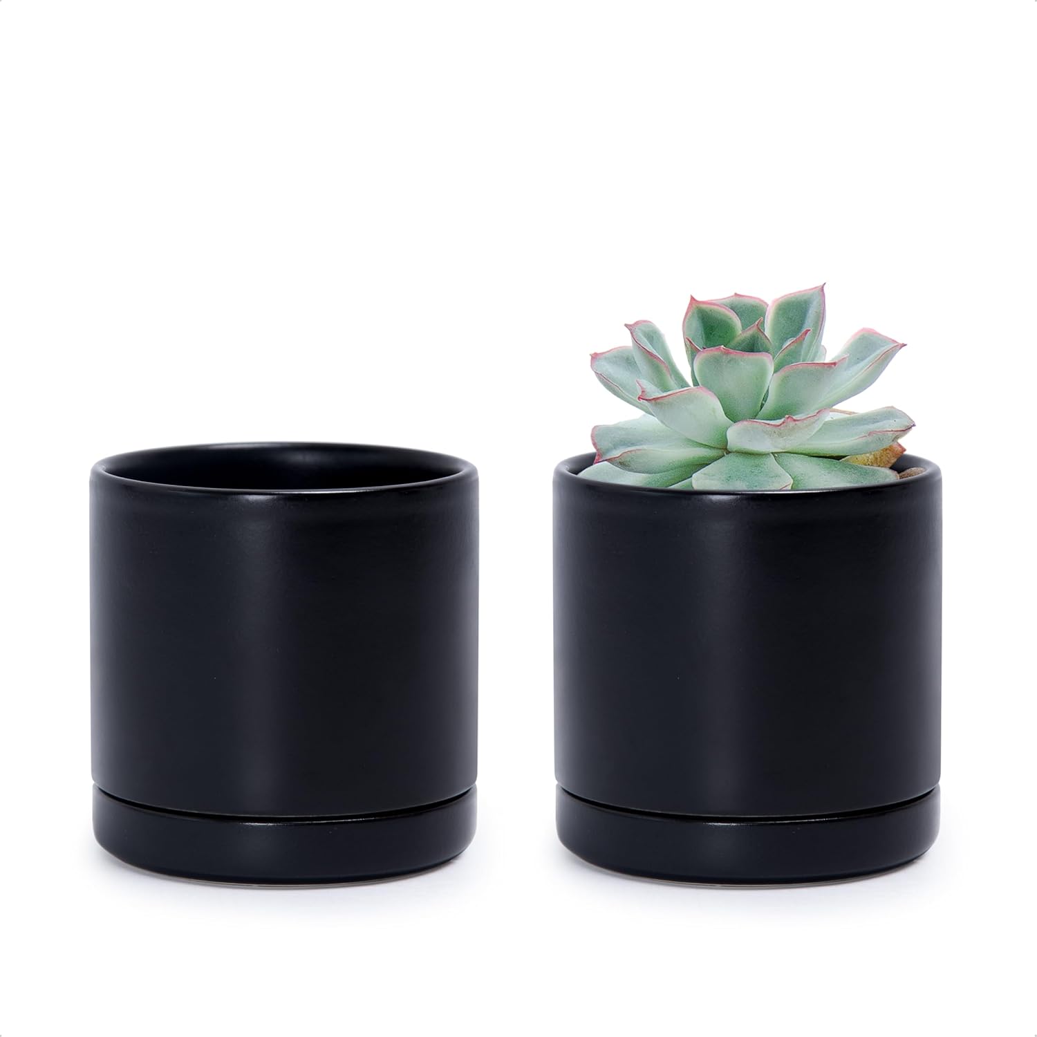 D'vine Dev 2-Pack Ceramic Pots with Saucers, White/Grey, 4.7 in, 94-V-B-6