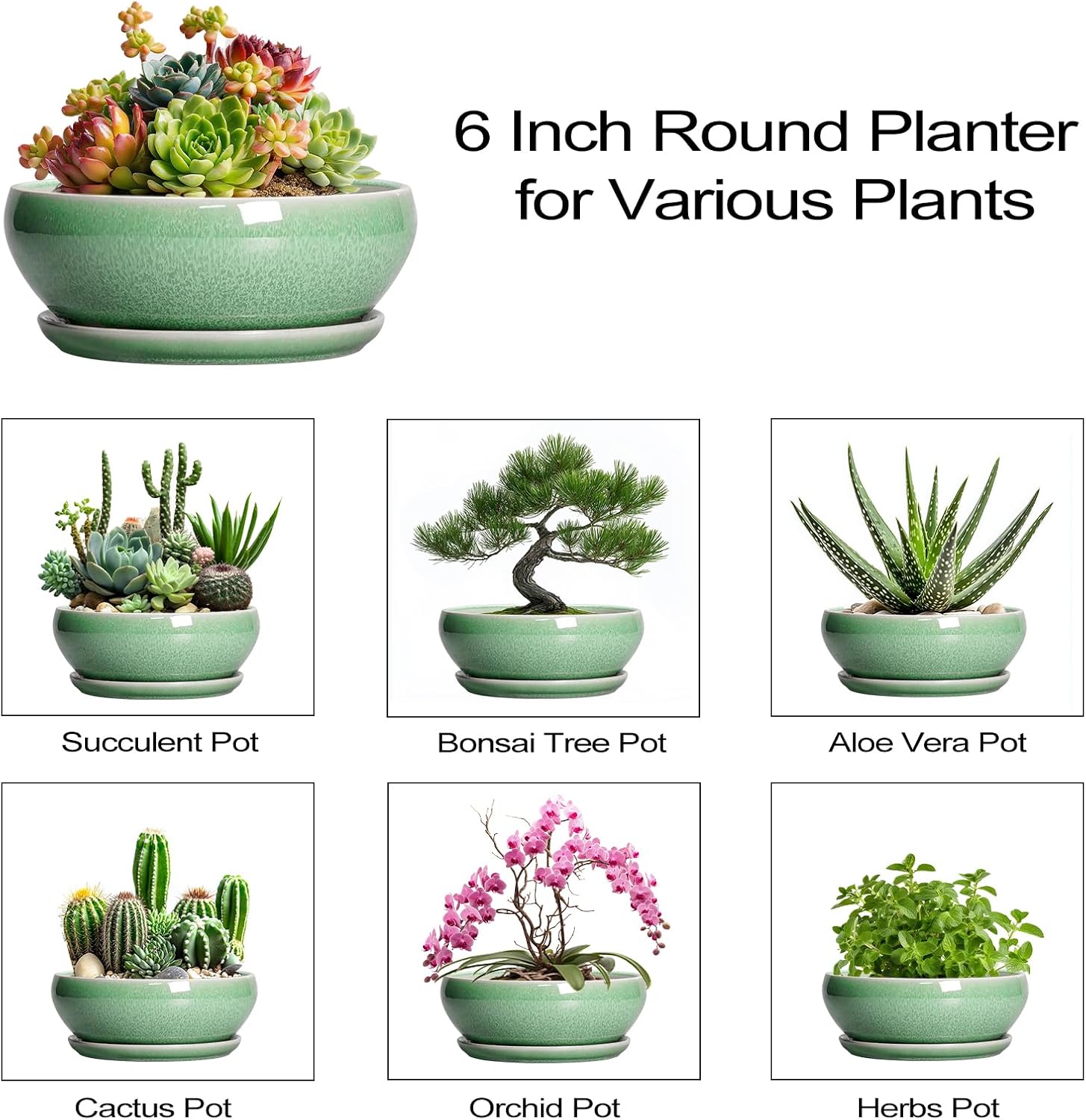 SQOWL 7 Inch Round Ceramic Succulent Planter Pot Drip Glazed Shallow Planter with Drainage Bamboo Tray for Indoor Plants