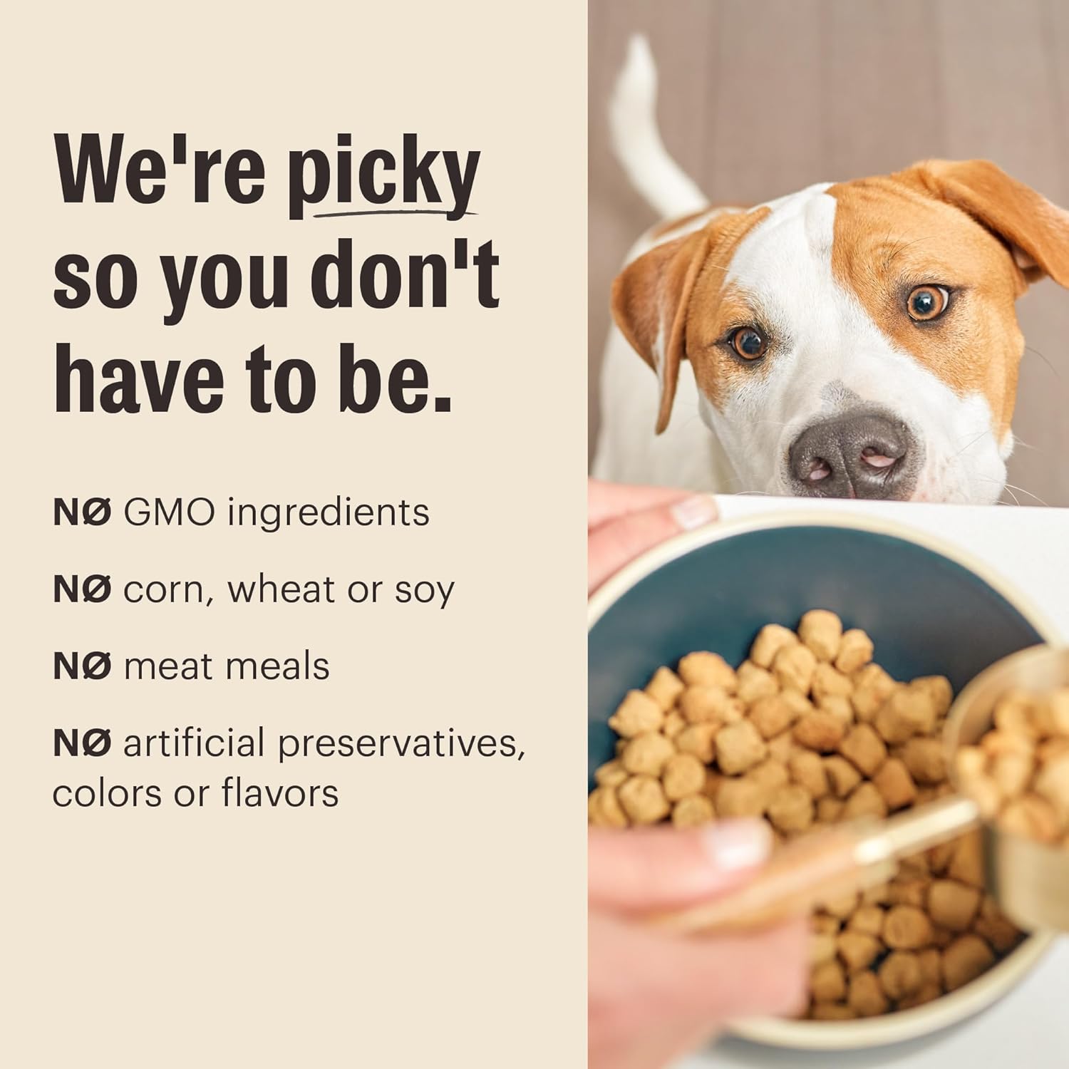 The Honest Kitchen Grain Free Beef & Superfoods Whole Food Clusters, Human Grade Dry Dog Food, Vet-Crafted Nutritional Support for Skin, Coat, Digestion & Overall Wellness, 20 lb Bag