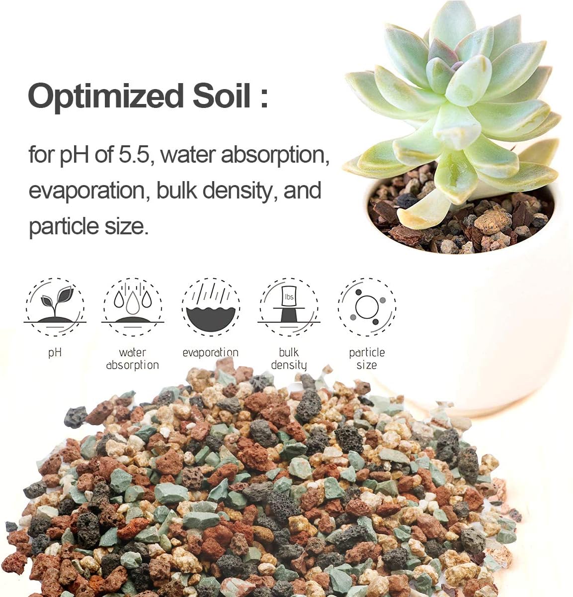 Mix Horticultural Lava Pebbles Pumice Potting Soil Amendment Succulent Cactus Bonsai Gritty Rock Decorative Gravel Plant Drainage Volcanic Rock for Terrarium Fairy Gardening Top Dressing 2.2lb
