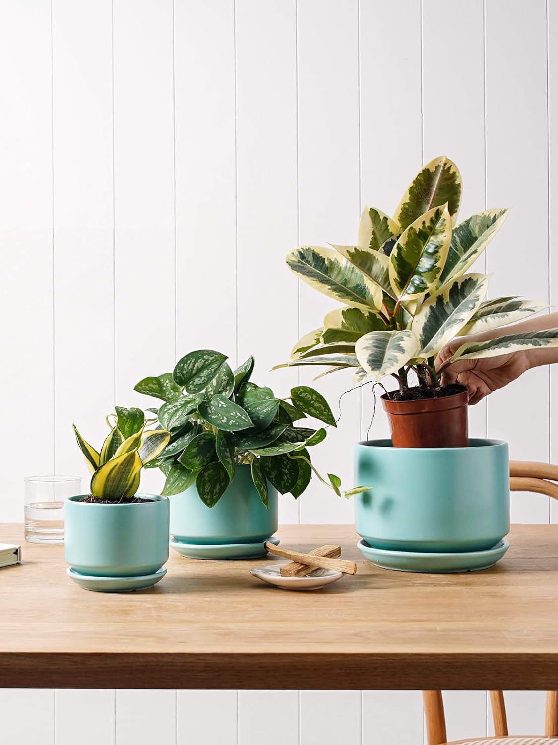 LE TAUCI Ceramic Plant Pots, 4.3+5.3+6.8 inch, Set of 3, Planters with Drainage Hole and Saucer, Indoor Flower Pot with Hole Mesh Pad, Gifts for Mom