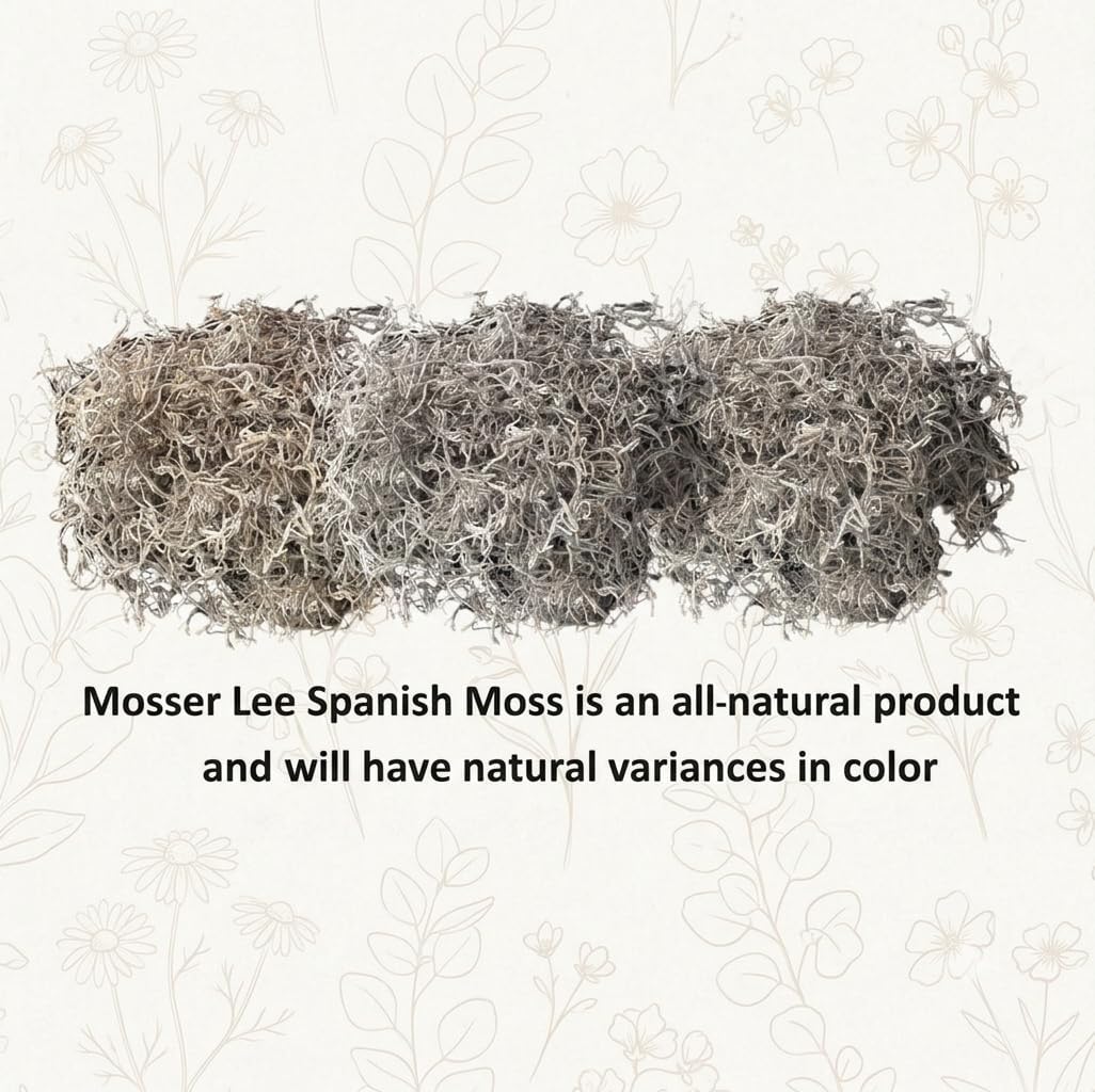 Mosser Lee ML0560 Spanish Moss, 250 Cubic Inches