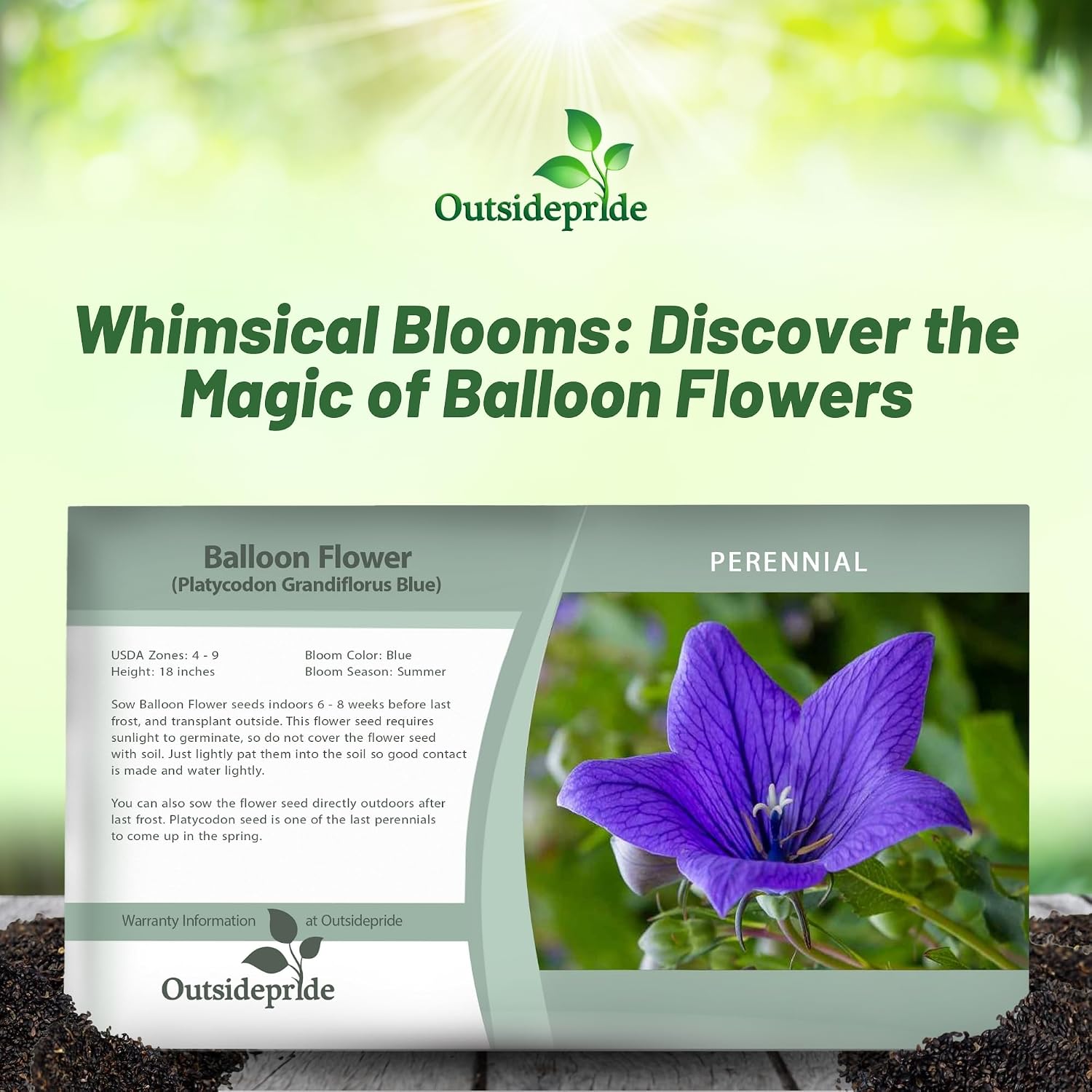 Outsidepride Blue Balloon Flower Seeds for Planting – 1000 Pcs Perennial, Drought-Tolerant, Easy to Grow, Low Maintenance, Pollinator-Friendly, Star-Shaped Blooms for Outdoor Gardens and Borders