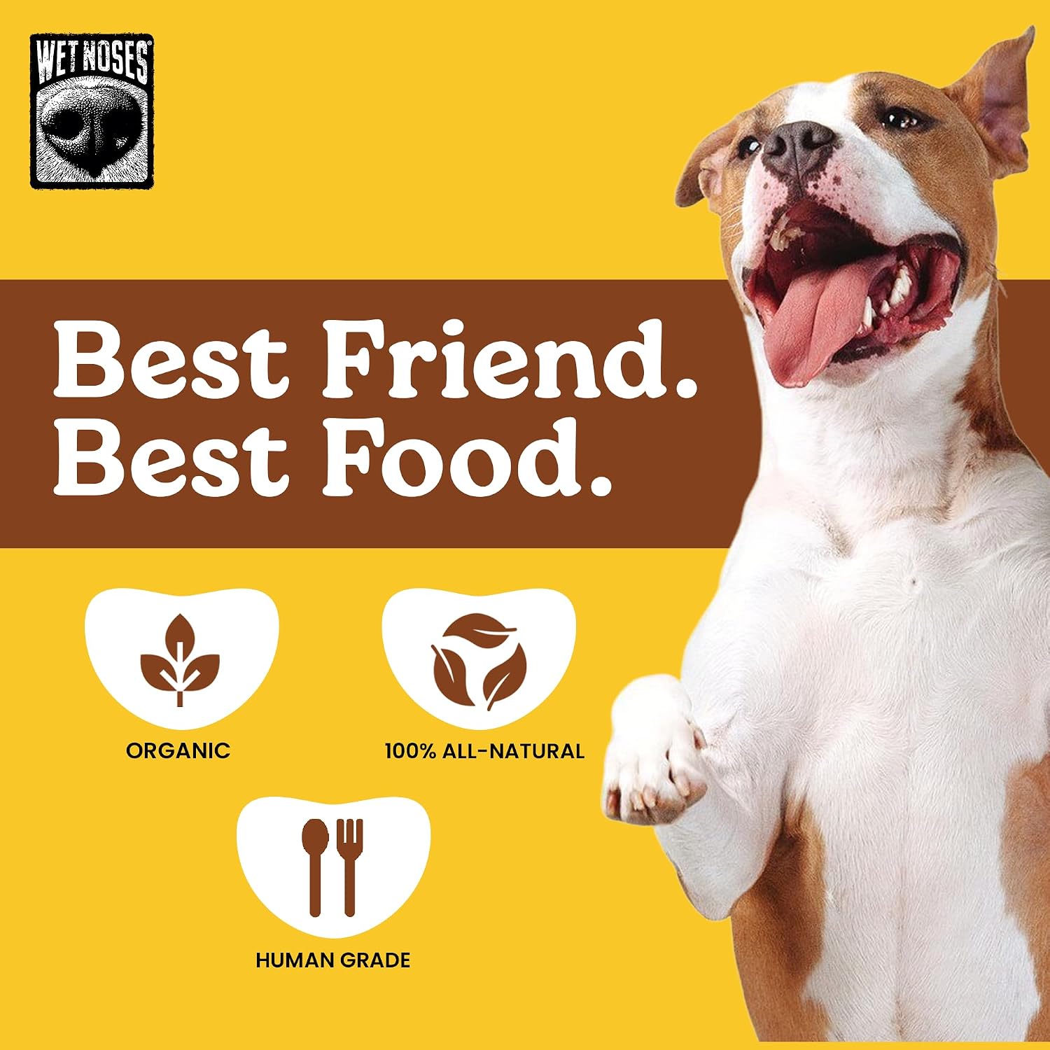 Wet Noses Organic Crunchy Dog Treats – All-Natural, Human-Grade, Non-GMO, Healthy Training & Delicious Snacks for Dogs