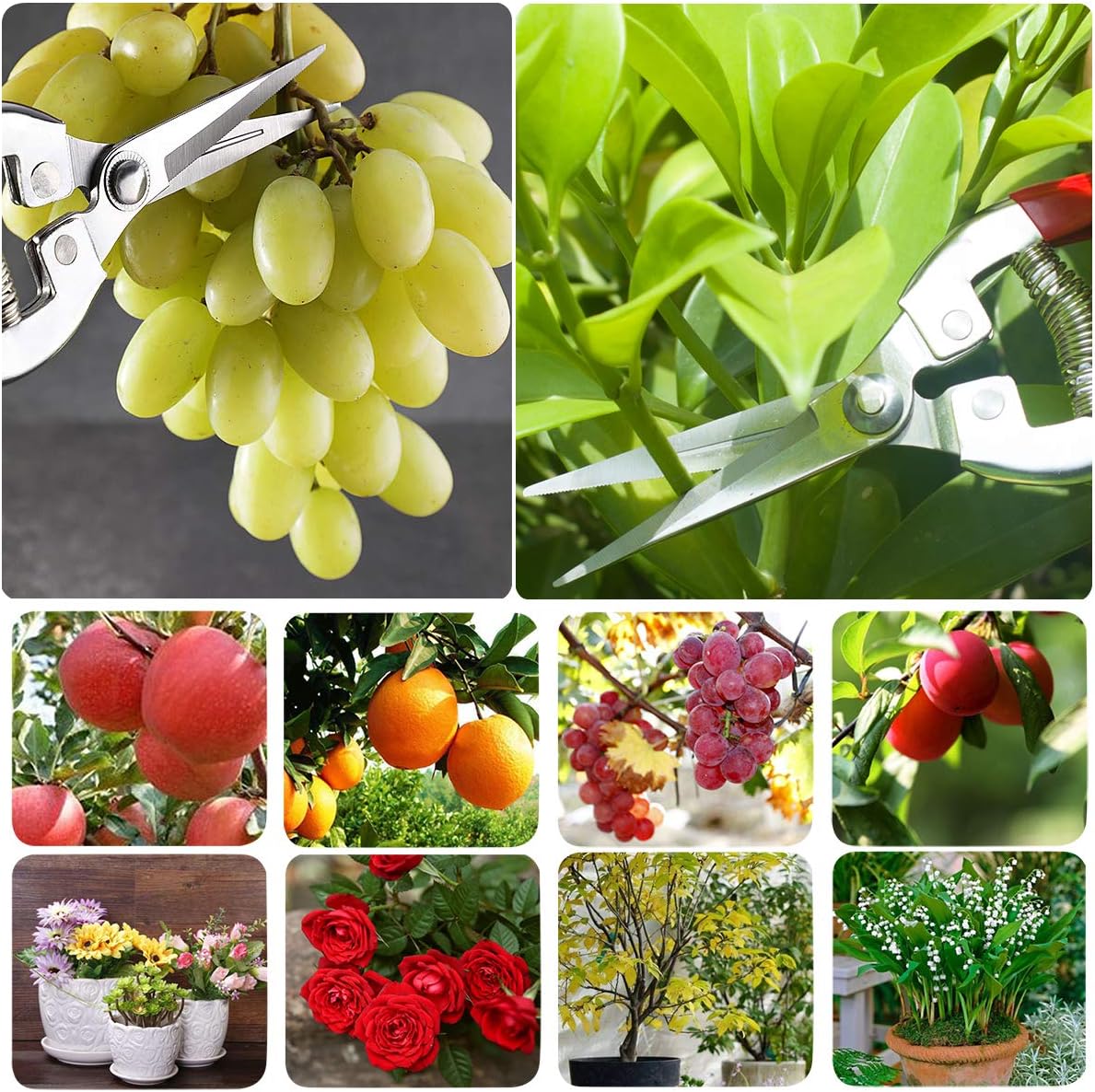 Pruning Shears with Stainless SK5 Steel Blades+Straight Tip Gardening Shears Garden Shears Garden Clippers Florist Scissors Hand Pruners Garden