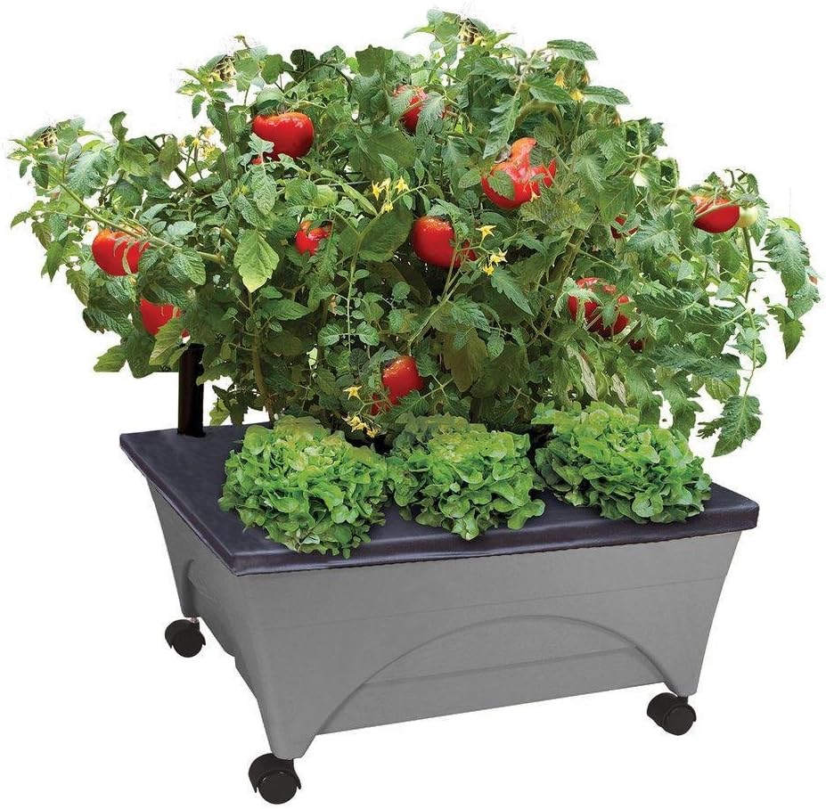 Emsco Group City Picker Raised Bed Grow Box – Self Watering and Improved Aeration – Mobile Unit with Casters - Slate