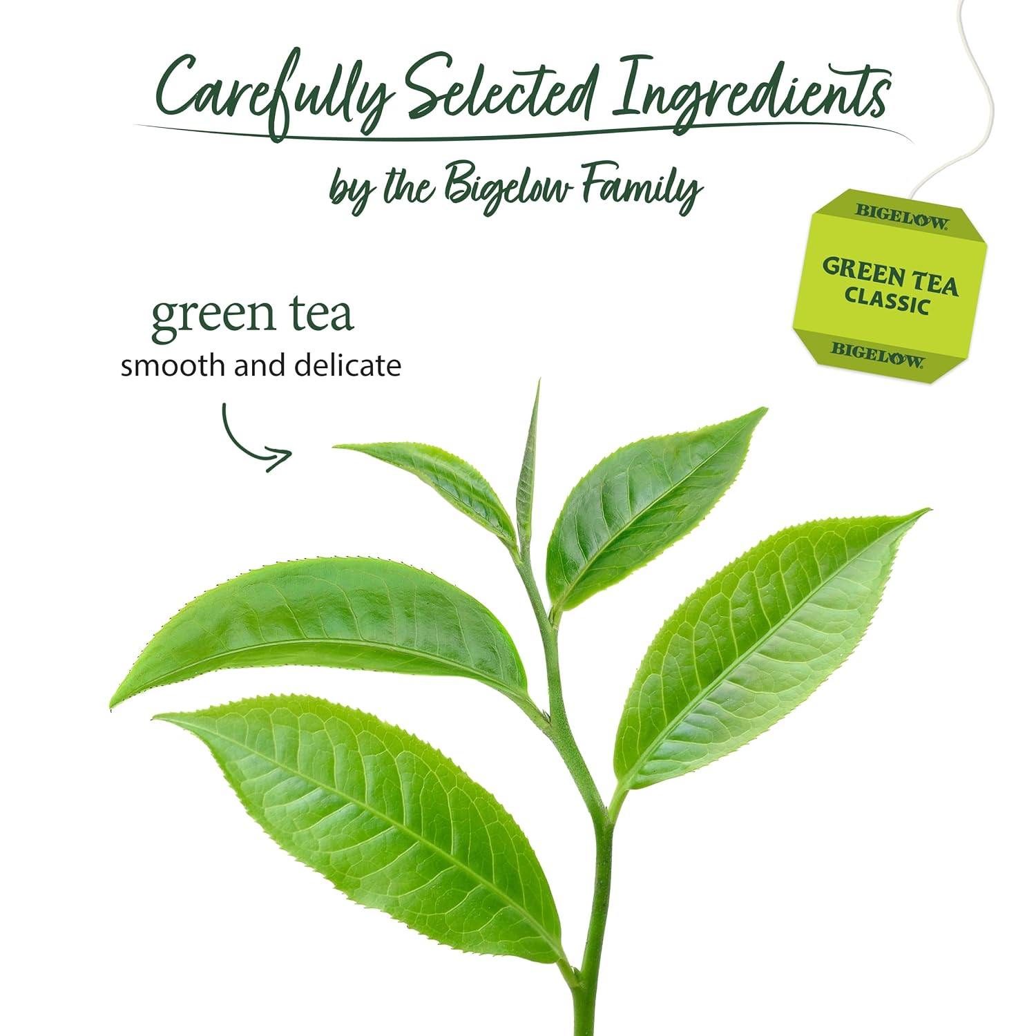 Bigelow Tea Classic Green Tea Bags, 40 Count (Pack of 6)