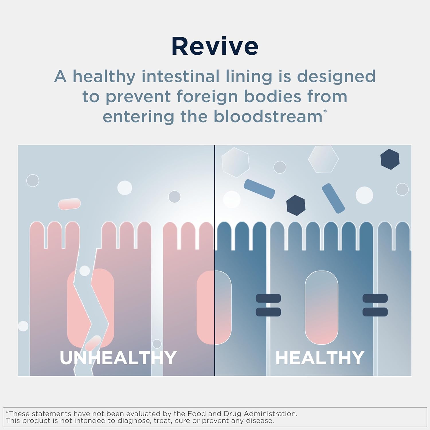 Designs for Health GI Revive Gut Health Powder - L Glutamine & Citrus Pectin for Digestive Health + Slippery Elm