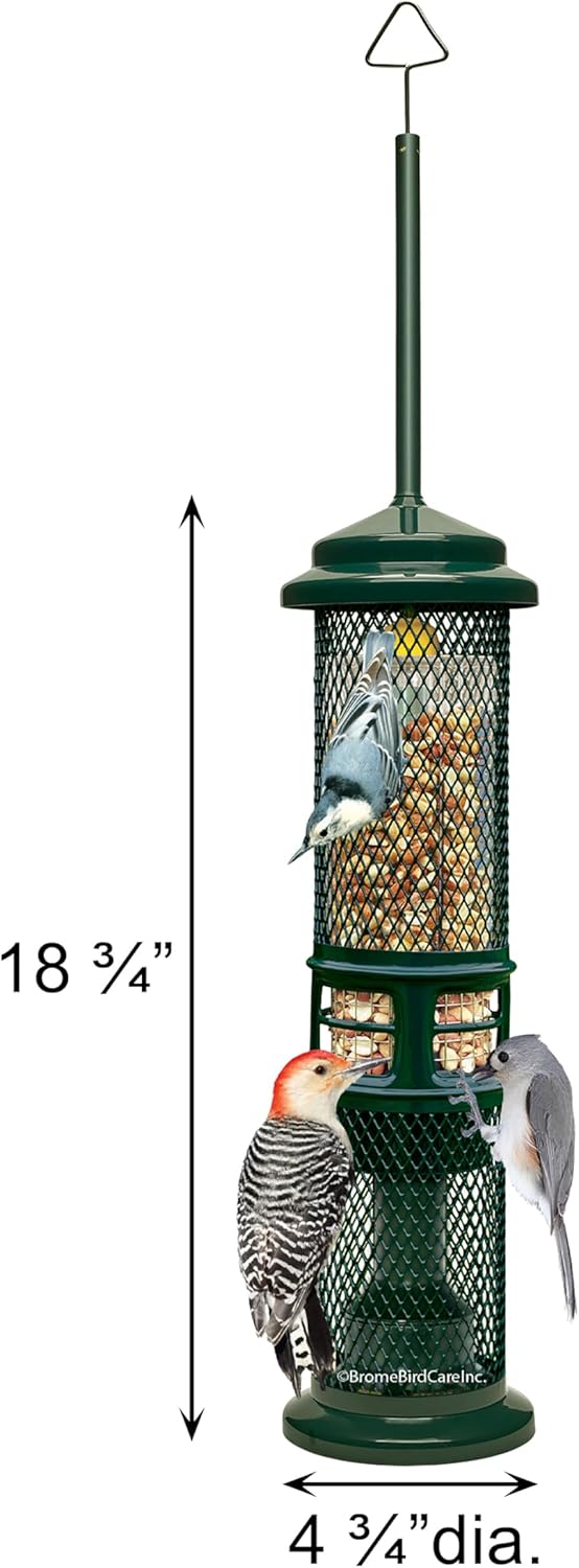 Squirrel Buster Nut Feeder Squirrel-Proof Bird Feeder for Shelled Peanuts & Dried Fruit, Weight-Adjustable, Woodpecker Friendly